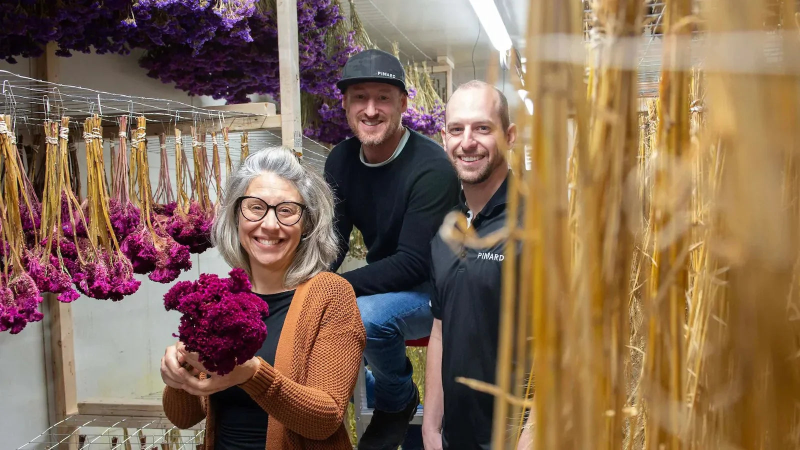 Un nouveau champ des possibles