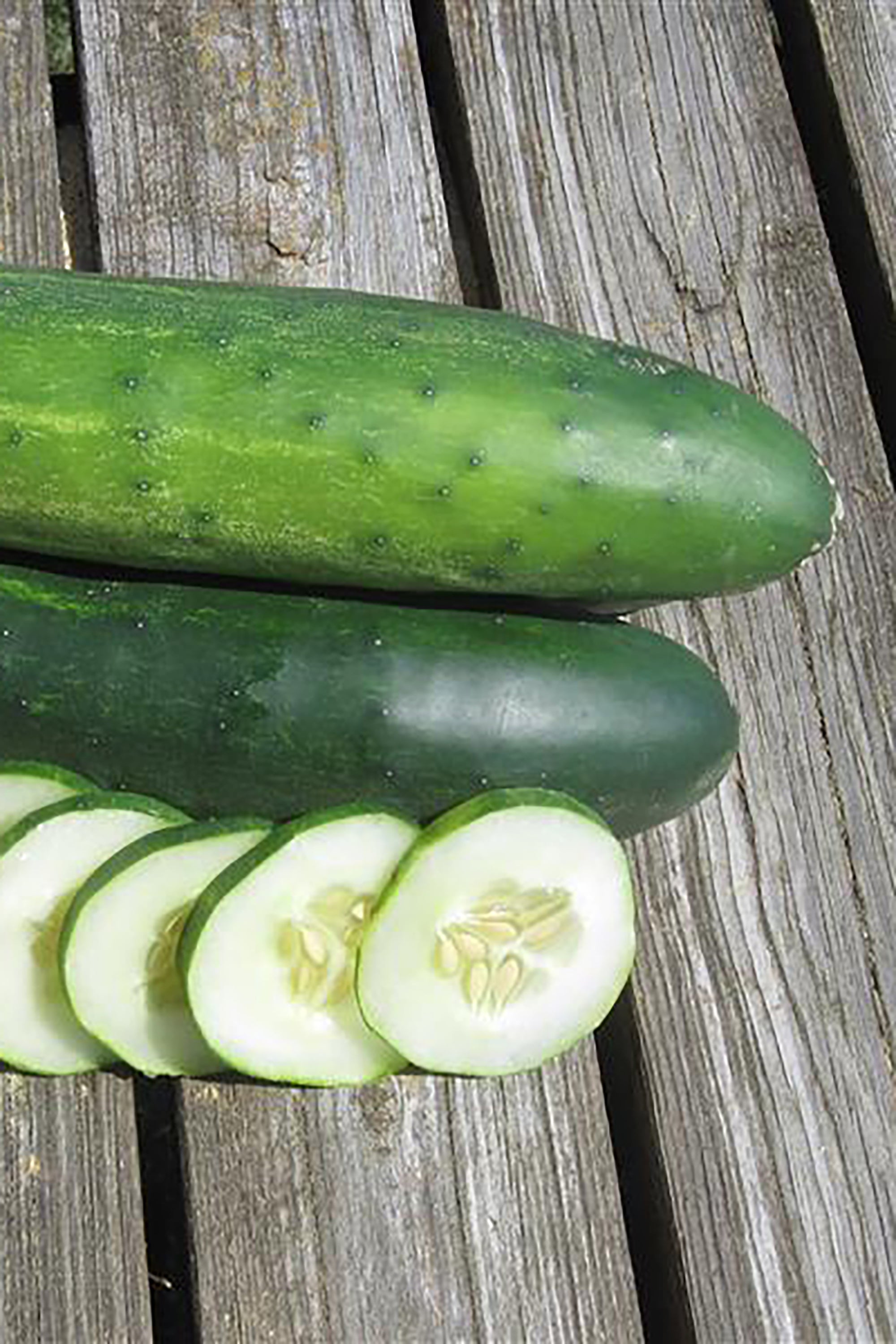 pinard floriculteur paysager aménagement paysager tomates légumes fruits