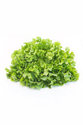 pinard floriculteur paysager aménagement paysager tomates légumes fruits