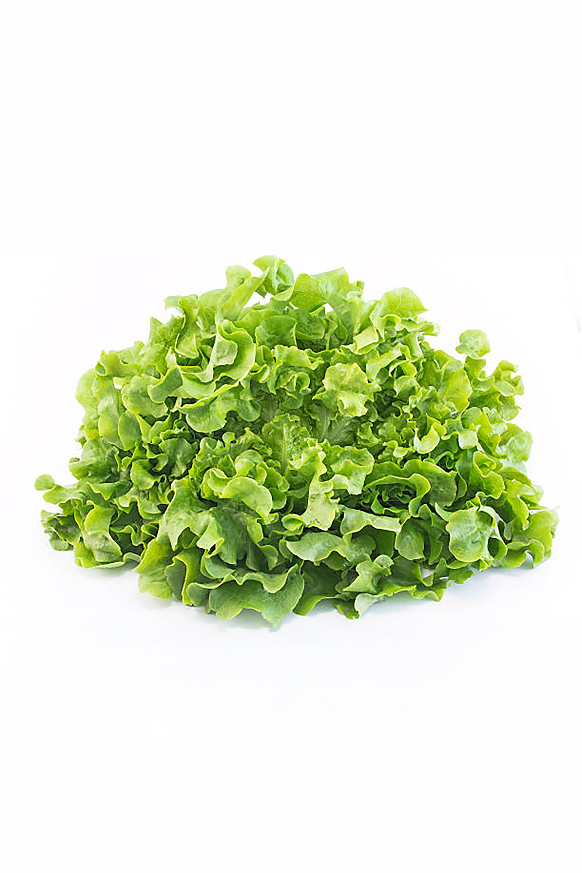 pinard floriculteur paysager aménagement paysager tomates légumes fruits