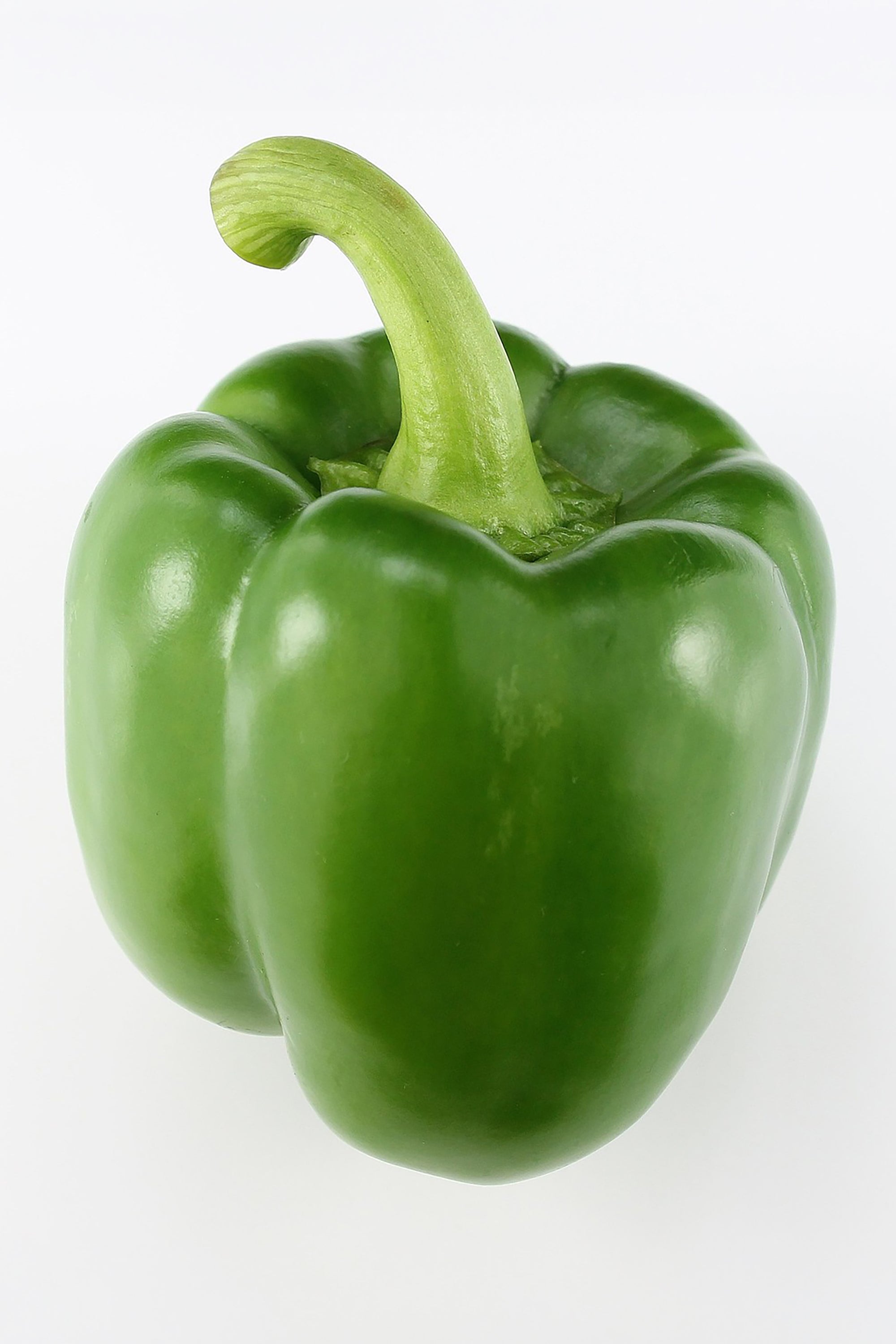 pinard floriculteur paysager aménagement paysager tomates légumes fruits