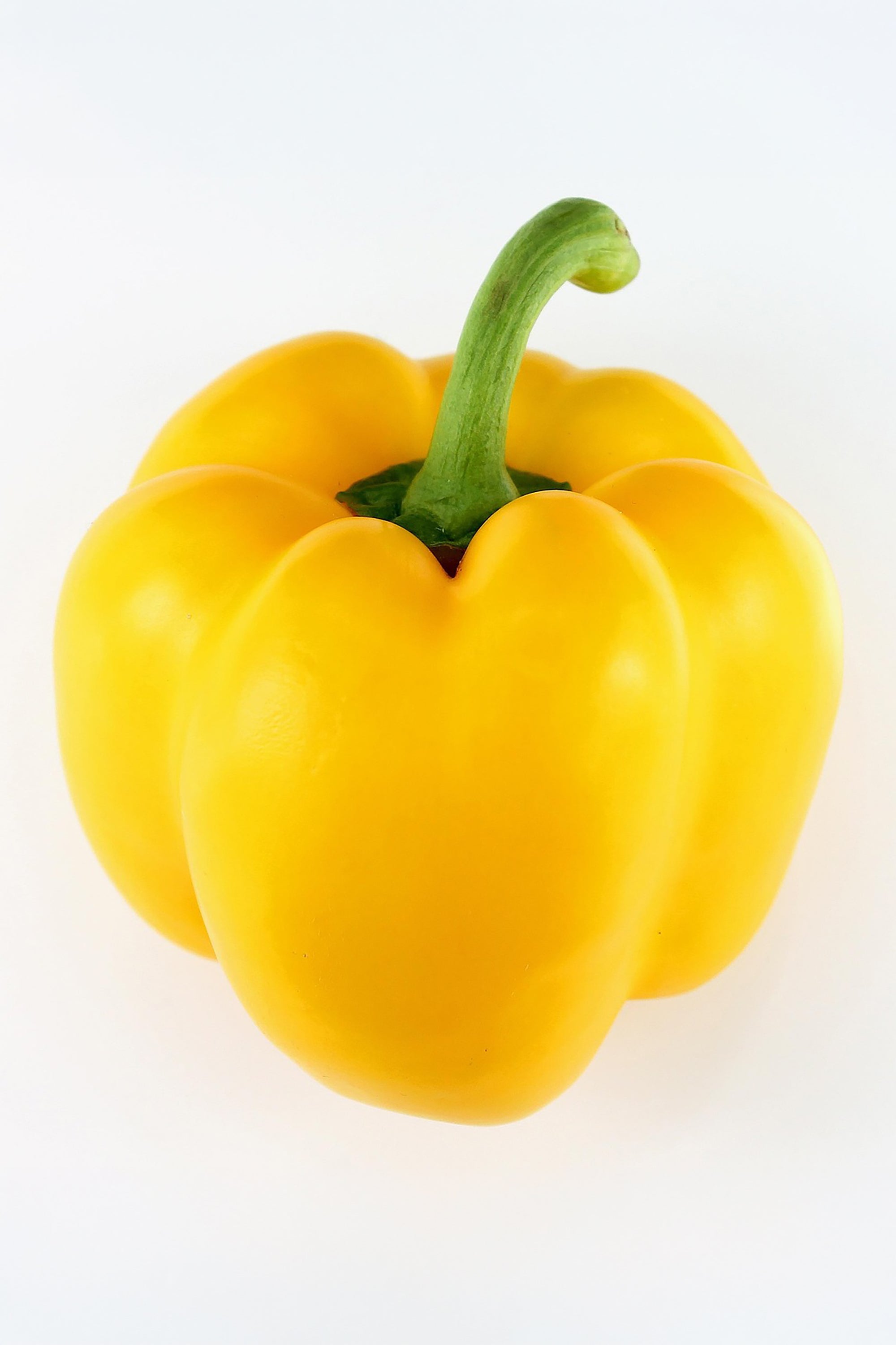 pinard floriculteur paysager aménagement paysager tomates légumes fruits