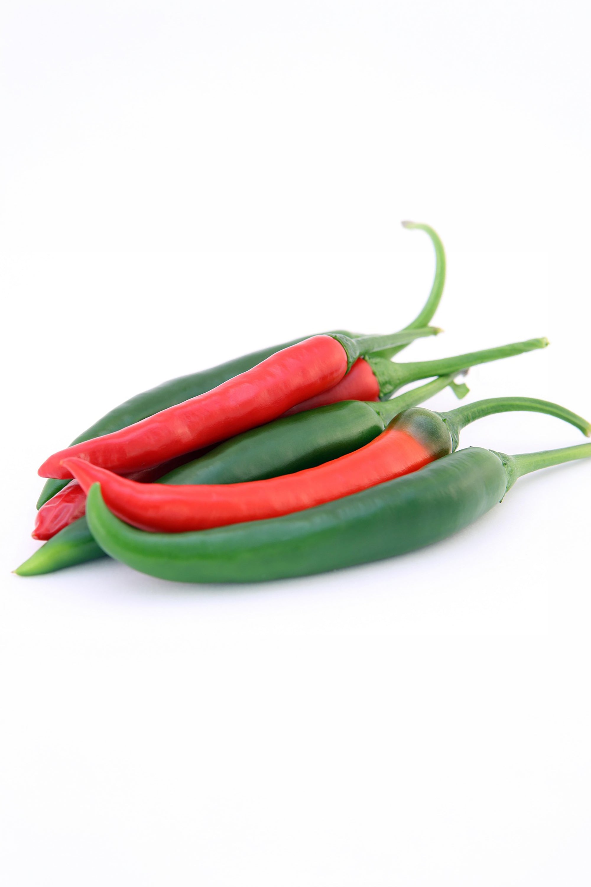 pinard floriculteur paysager aménagement paysager tomates légumes fruits