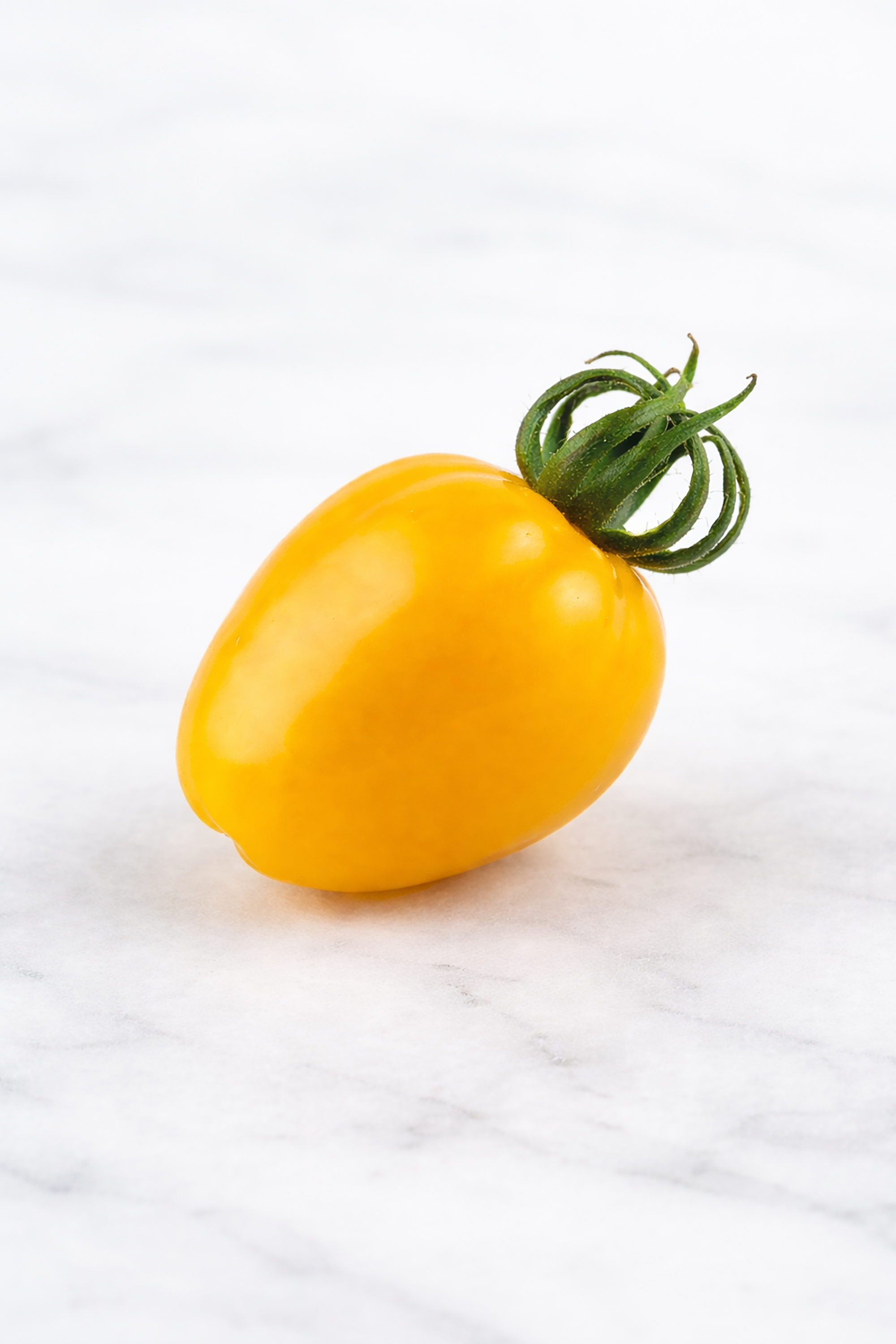 pinard floriculteur paysager aménagement paysager tomates légumes fruits