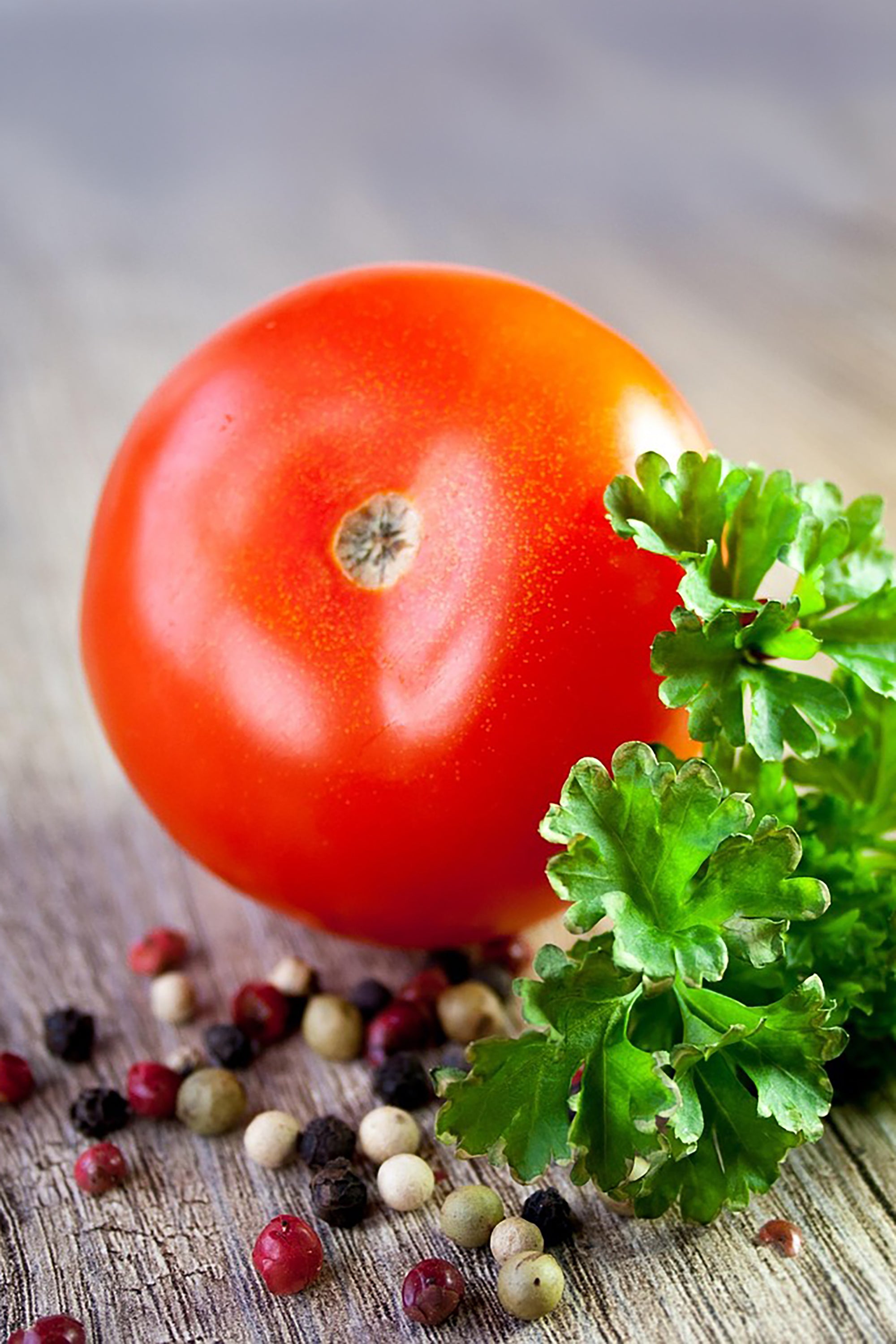 pinard floriculteur paysager aménagement paysager tomates légumes fruits