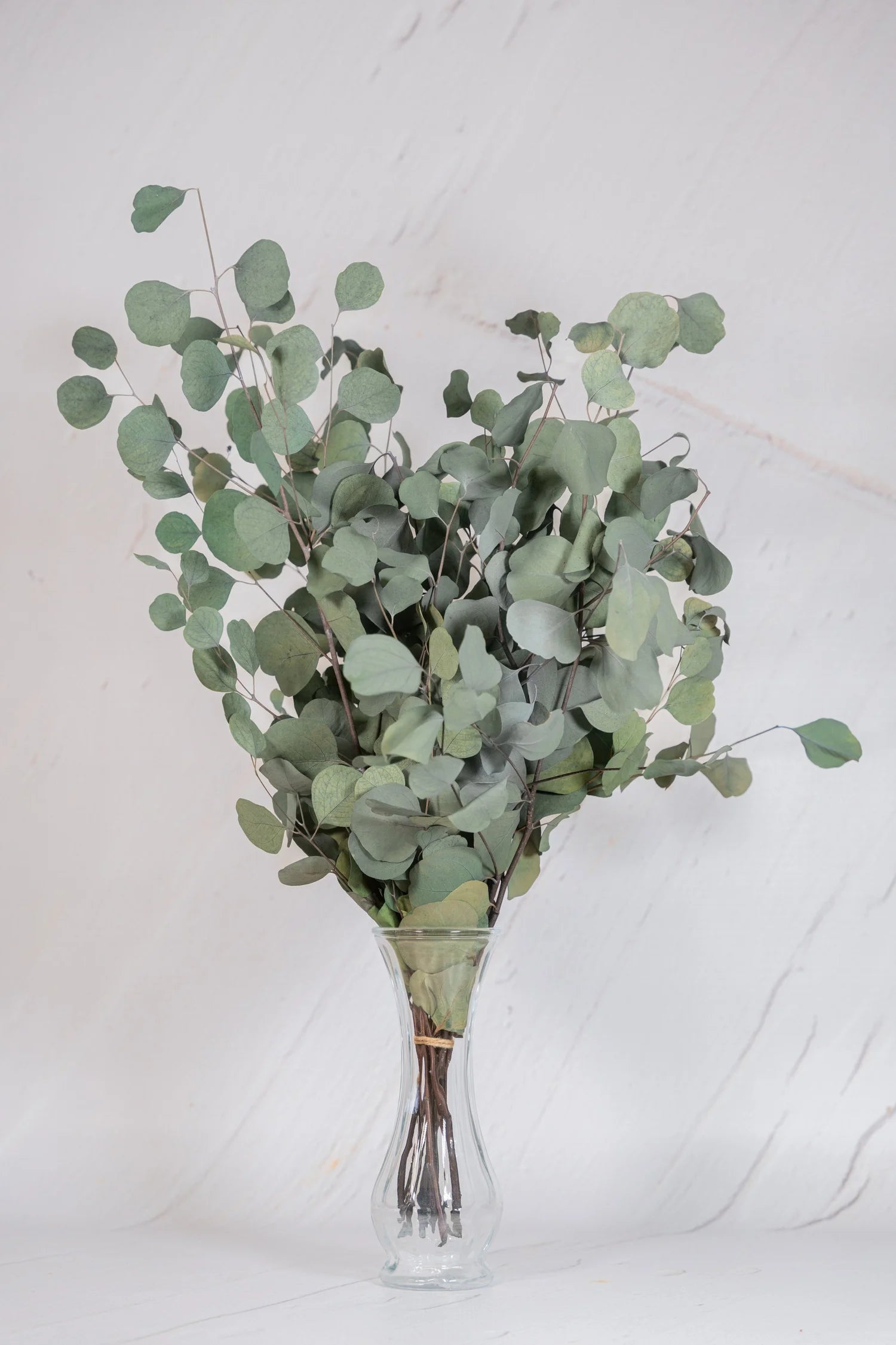 pinard floriculteur paysager grossiste en fleurs séchées mauricie centre du québec