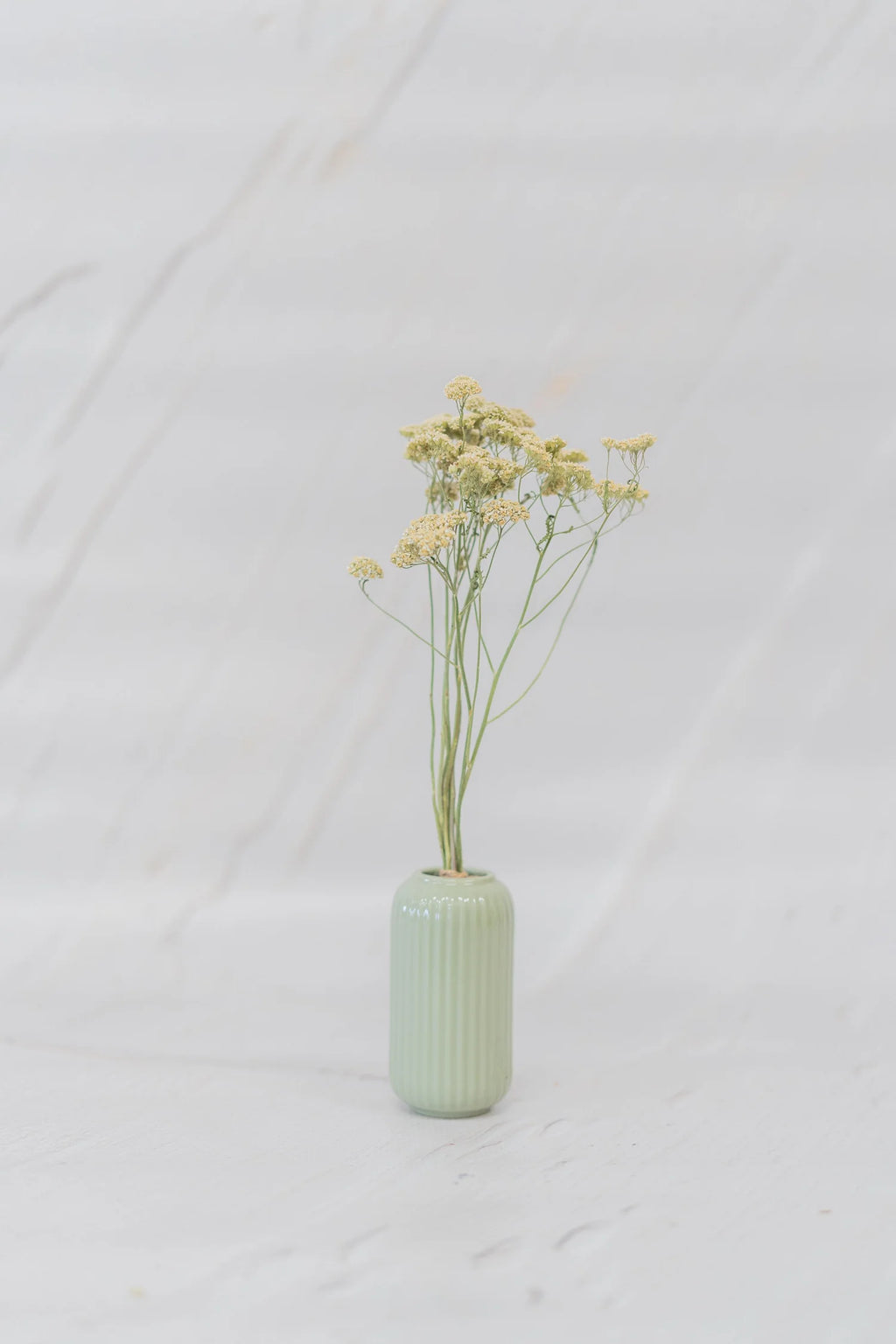 pinard floriculteur paysager grossiste en fleurs séchées mauricie centre du québec