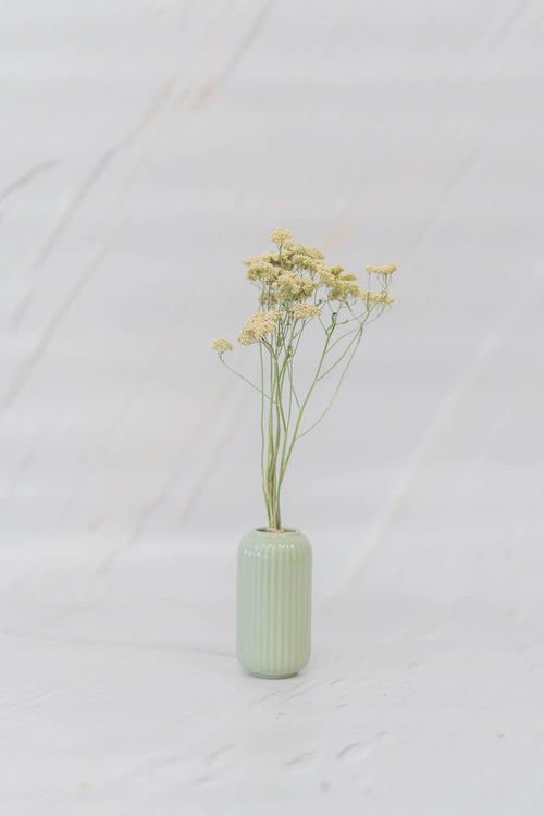 pinard floriculteur paysager grossiste en fleurs séchées mauricie centre du québec