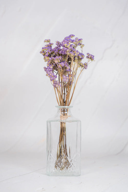 pinard floriculteur paysager grossiste en fleurs séchées mauricie centre du québec