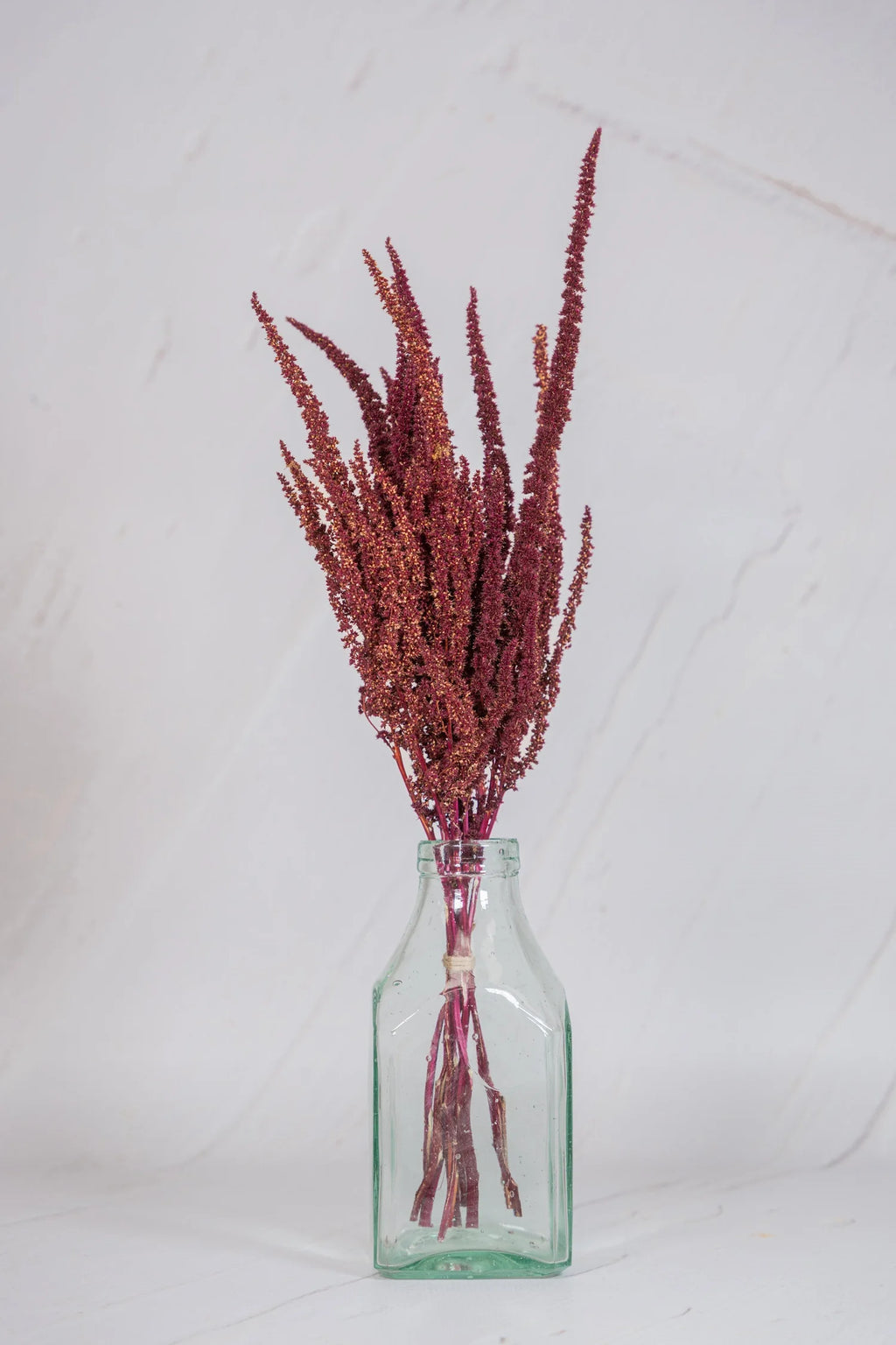 pinard floriculteur paysager grossiste en fleurs séchées mauricie centre du québec