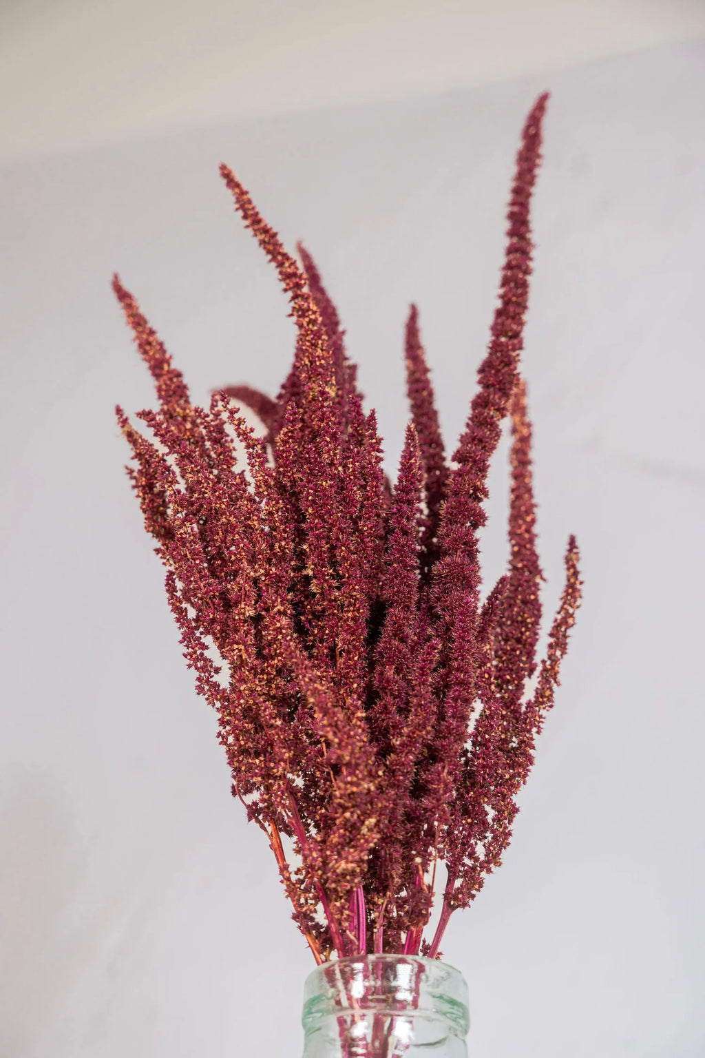 pinard floriculteur paysager grossiste en fleurs séchées mauricie centre du québec