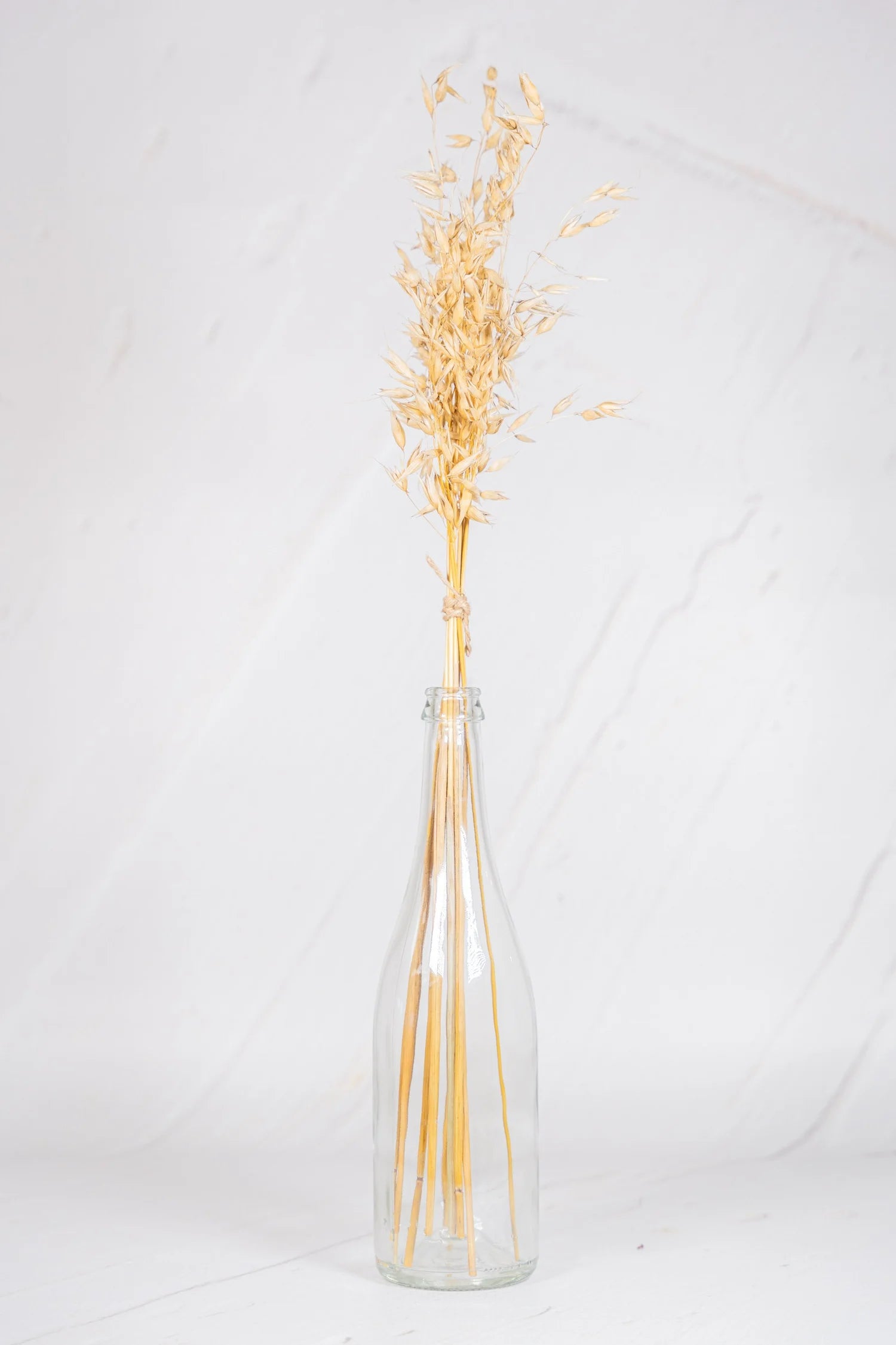 pinard floriculteur paysager grossiste en fleurs séchées mauricie centre du québec