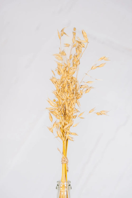 pinard floriculteur paysager grossiste en fleurs séchées mauricie centre du québec