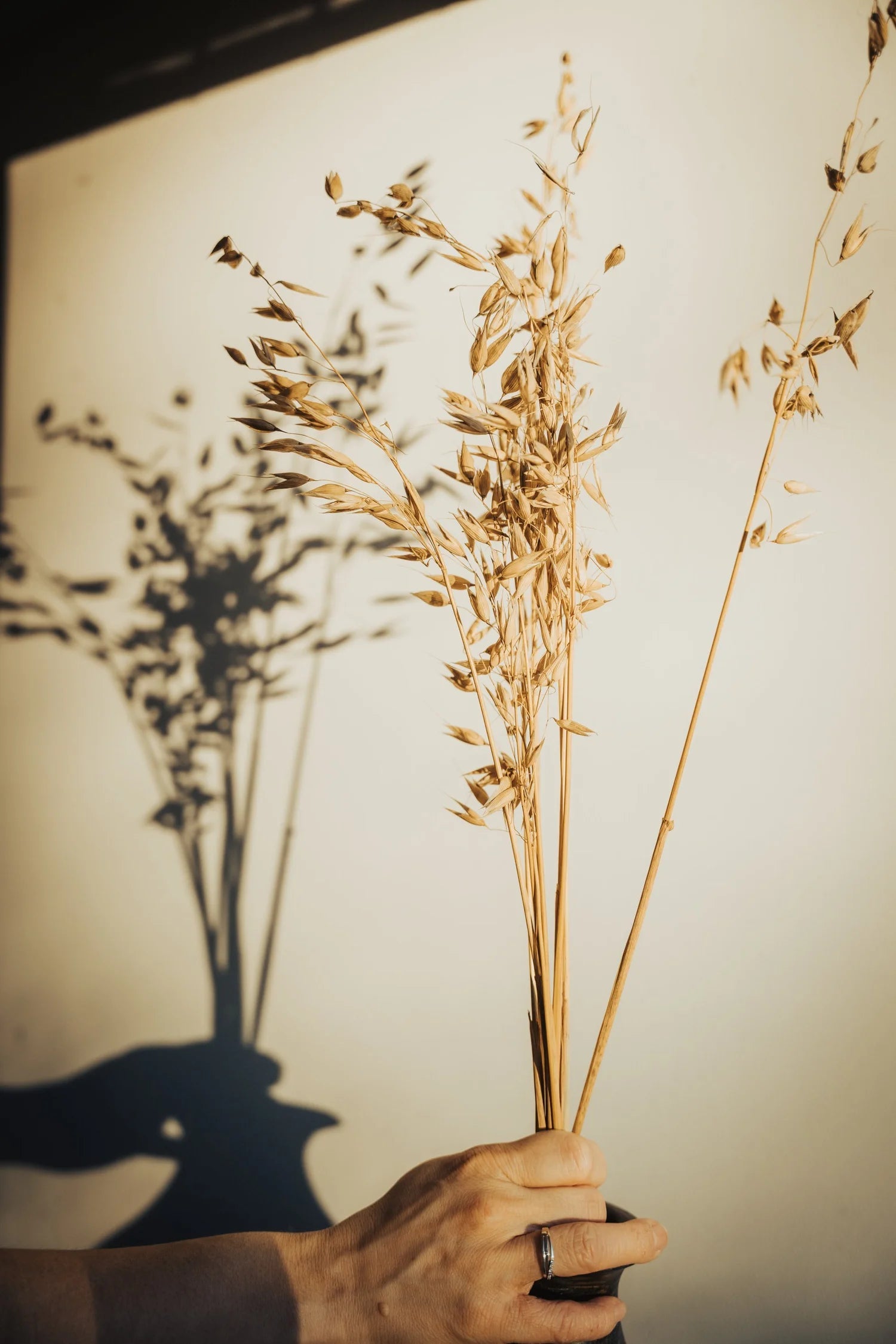 pinard floriculteur paysager grossiste en fleurs séchées mauricie centre du québec