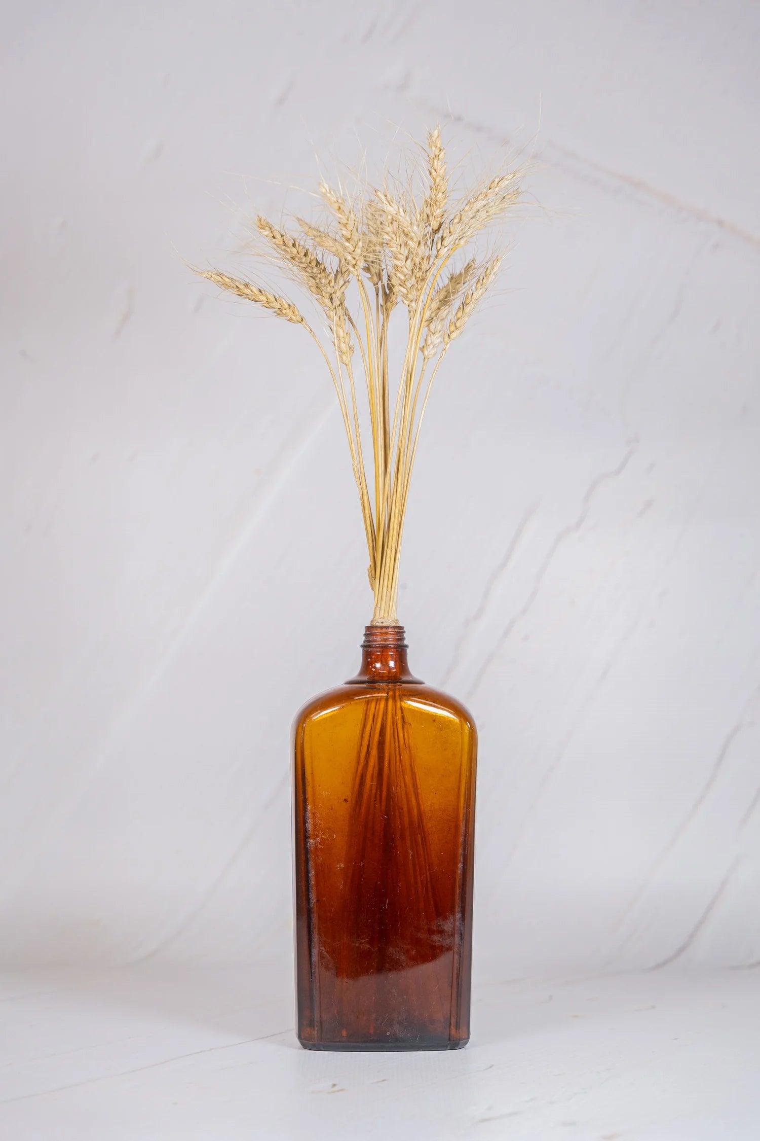 pinard floriculteur paysager grossiste en fleurs séchées mauricie centre du québec