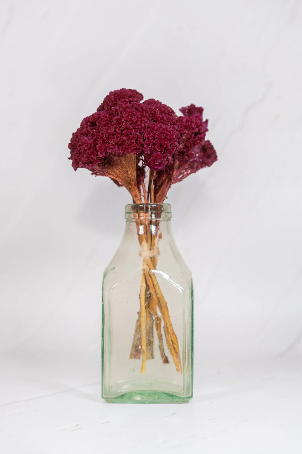 pinard floriculteur paysager grossiste en fleurs séchées mauricie centre du québec