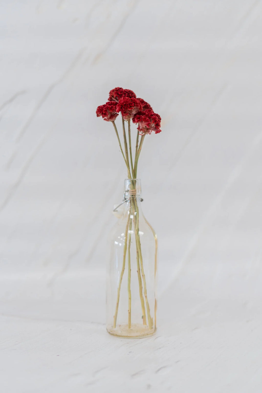 pinard floriculteur paysager grossiste en fleurs séchées mauricie centre du québec