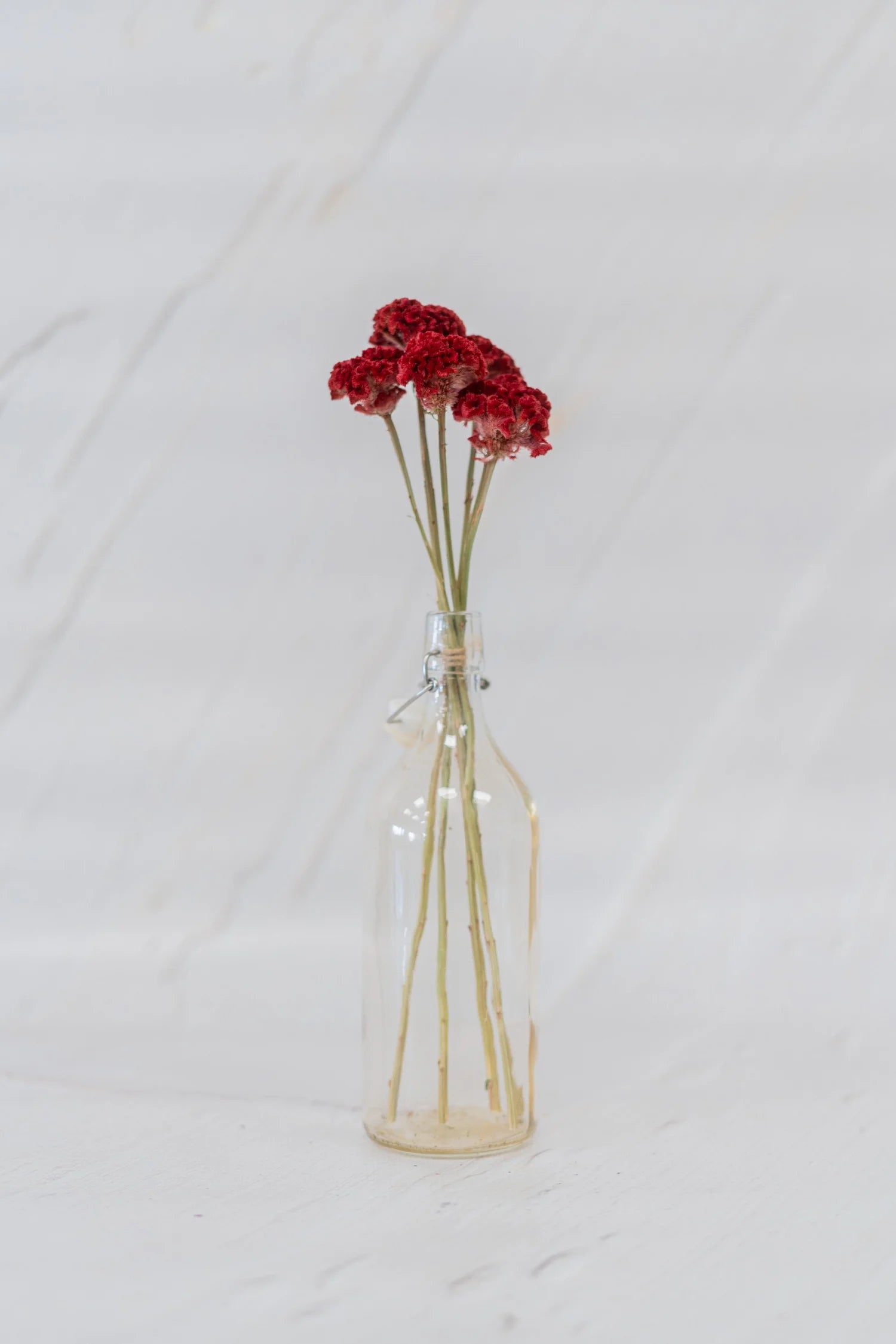 pinard floriculteur paysager grossiste en fleurs séchées mauricie centre du québec