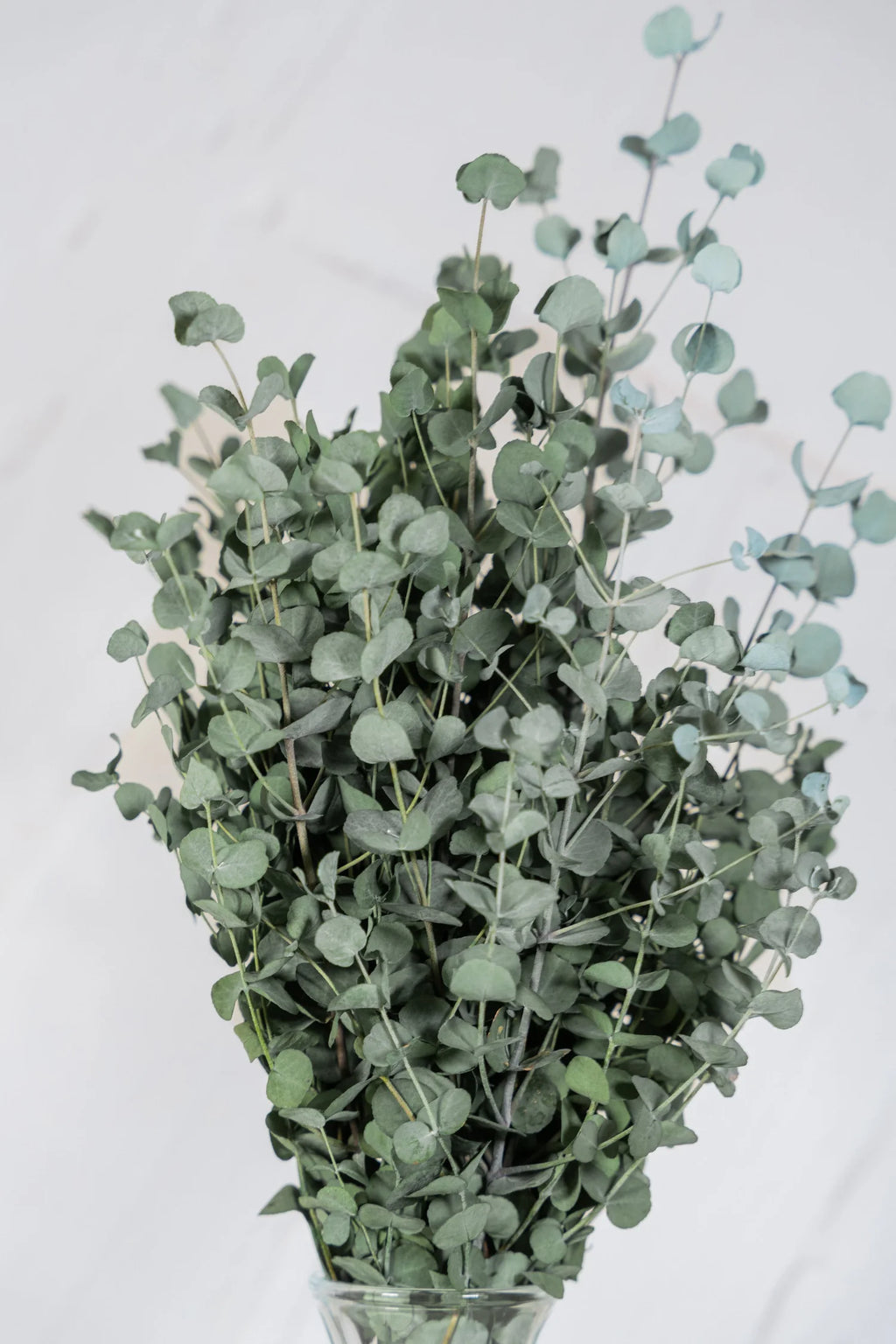 pinard floriculteur paysager grossiste en fleurs séchées mauricie centre du québec