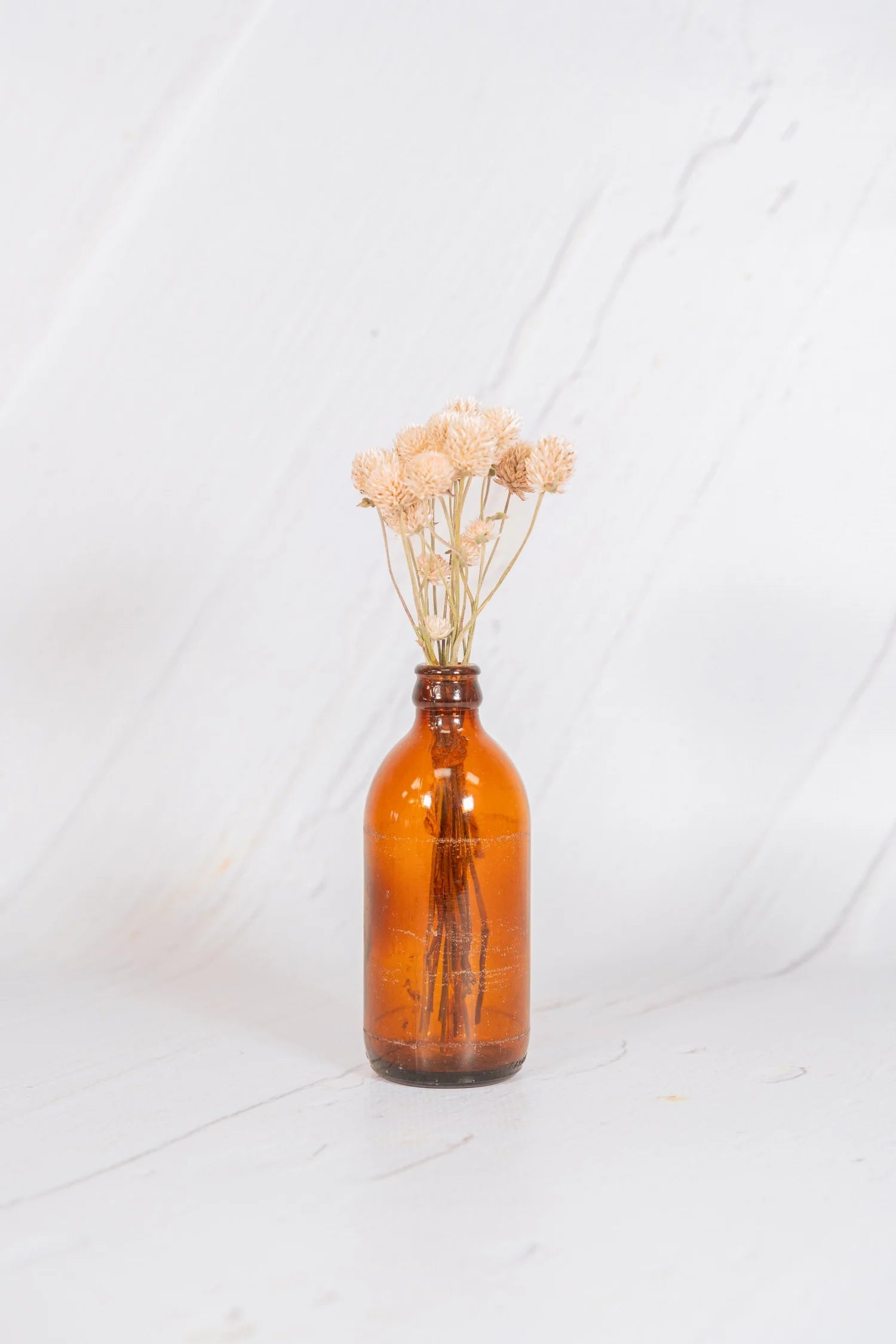 pinard floriculteur paysager grossiste en fleurs séchées mauricie centre du québec