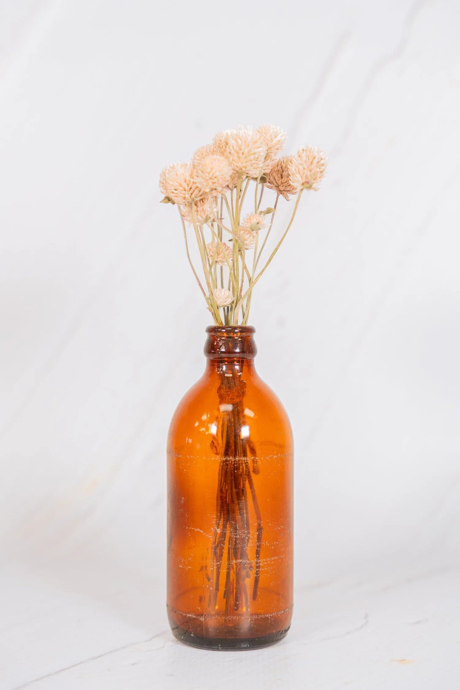 pinard floriculteur paysager grossiste en fleurs séchées mauricie centre du québec