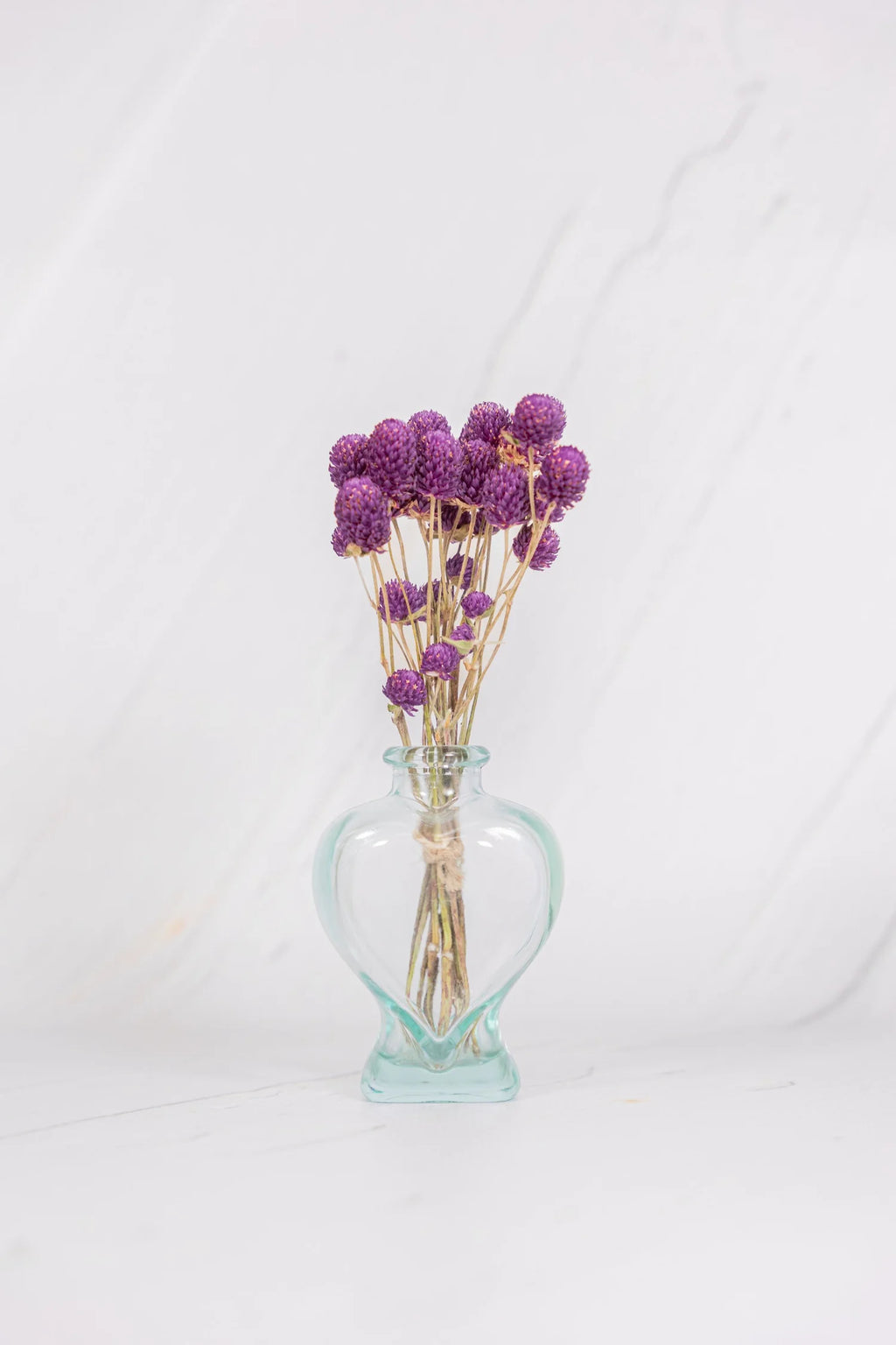 pinard floriculteur paysager grossiste en fleurs séchées mauricie centre du québec