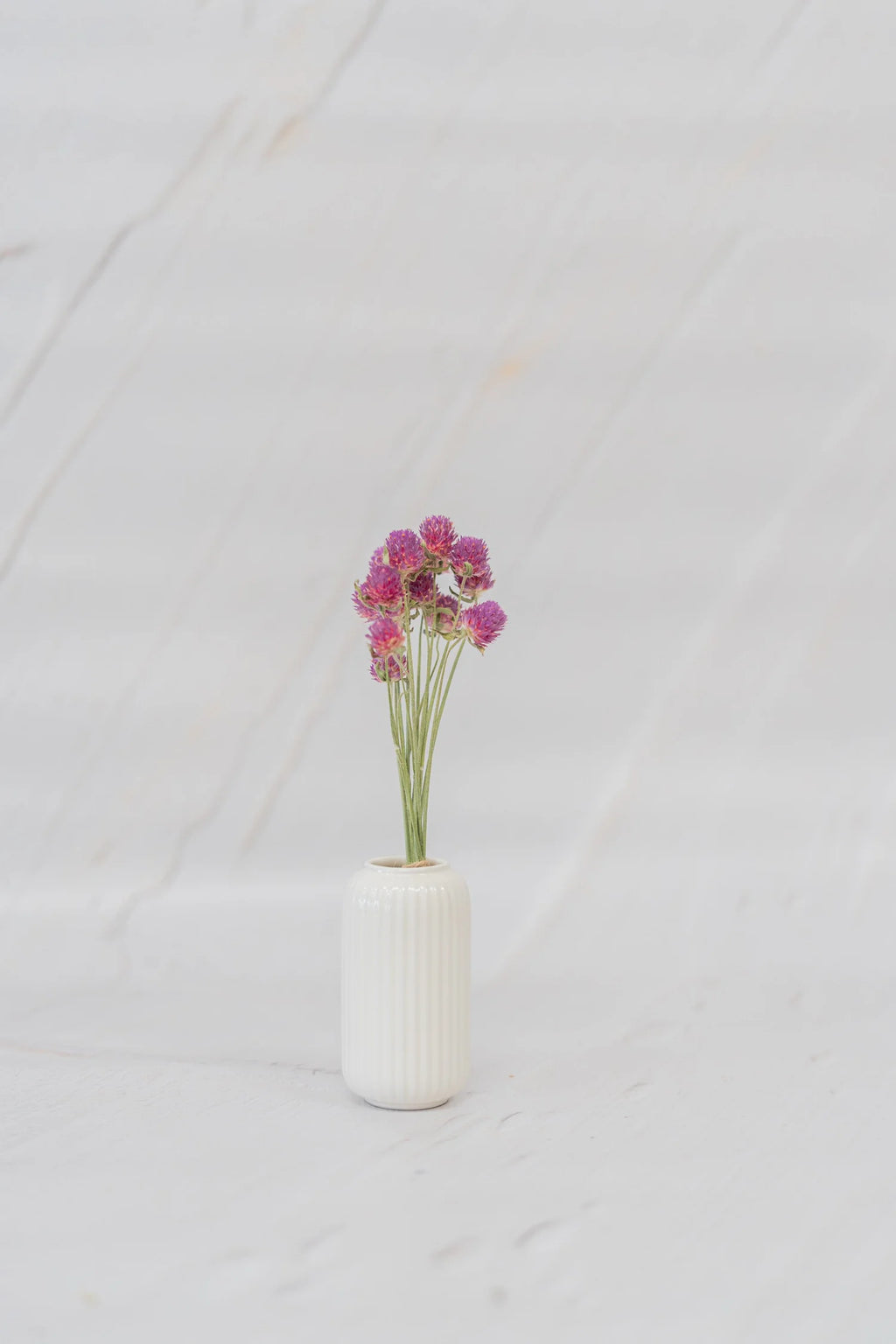 pinard floriculteur paysager grossiste en fleurs séchées mauricie centre du québec