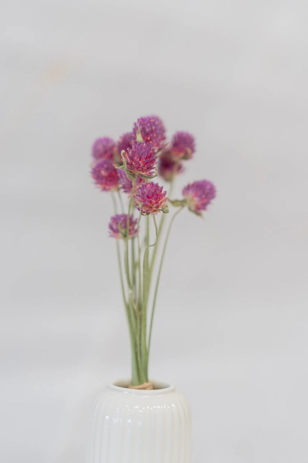 pinard floriculteur paysager grossiste en fleurs séchées mauricie centre du québec