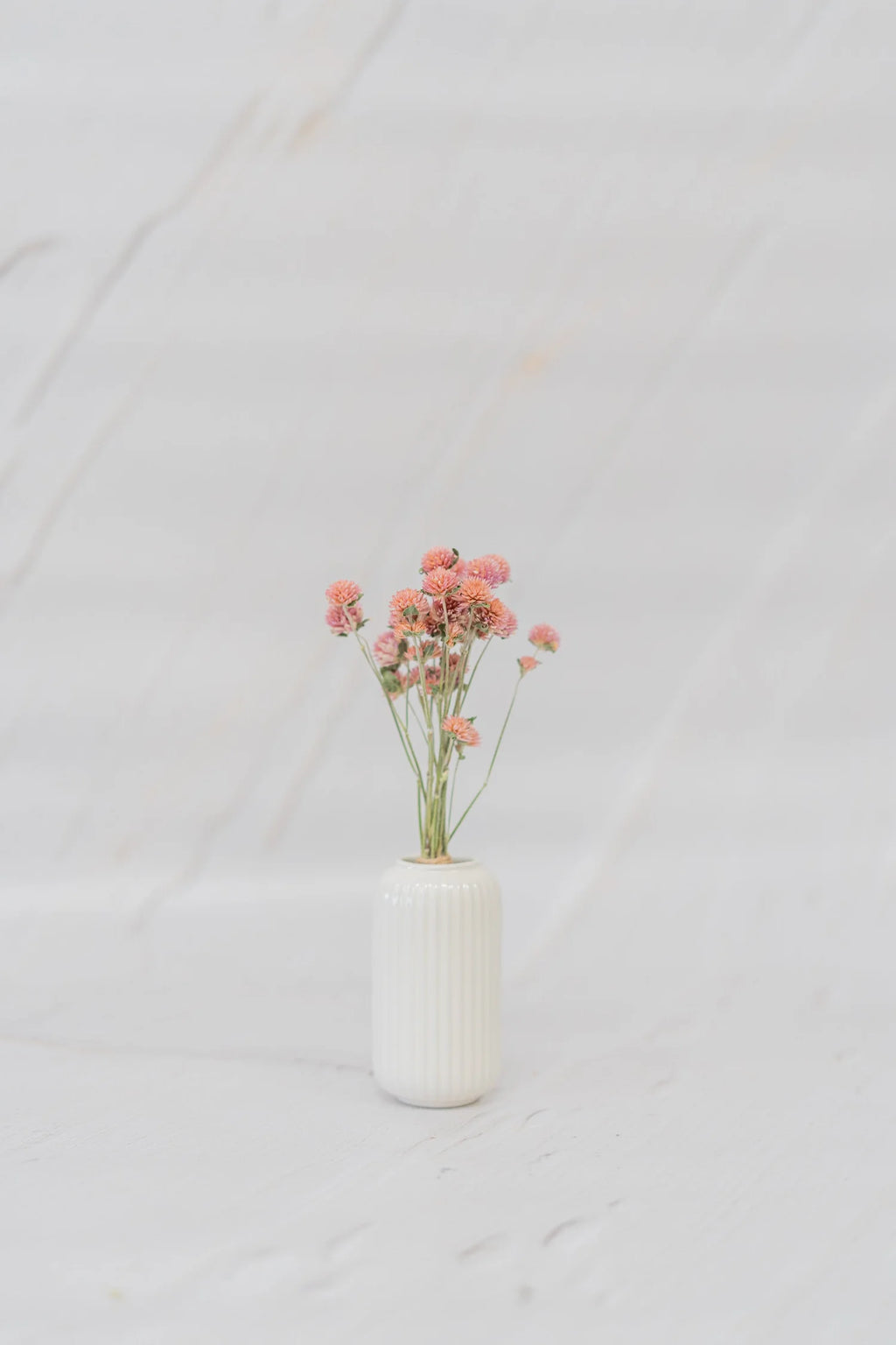 pinard floriculteur paysager grossiste en fleurs séchées mauricie centre du québec