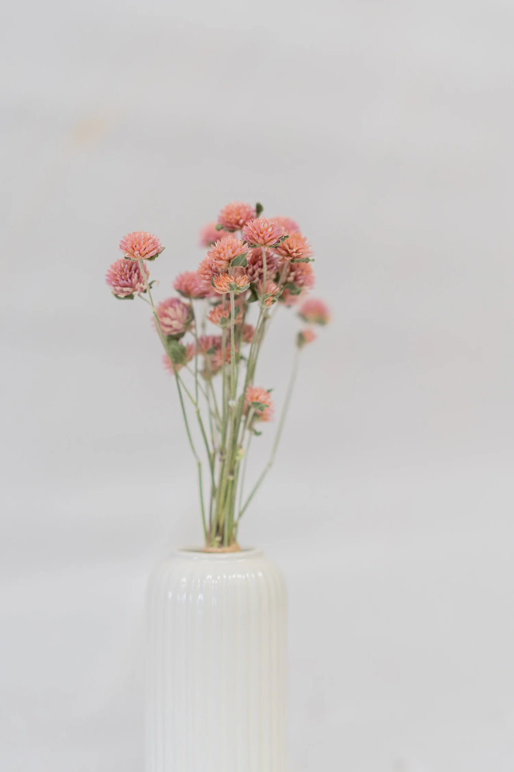 pinard floriculteur paysager grossiste en fleurs séchées mauricie centre du québec