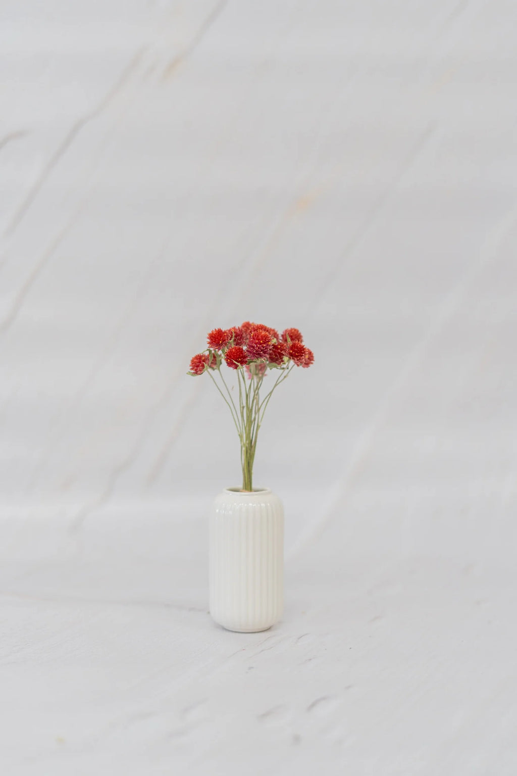 pinard floriculteur paysager grossiste en fleurs séchées mauricie centre du québec