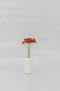 pinard floriculteur paysager grossiste en fleurs séchées mauricie centre du québec