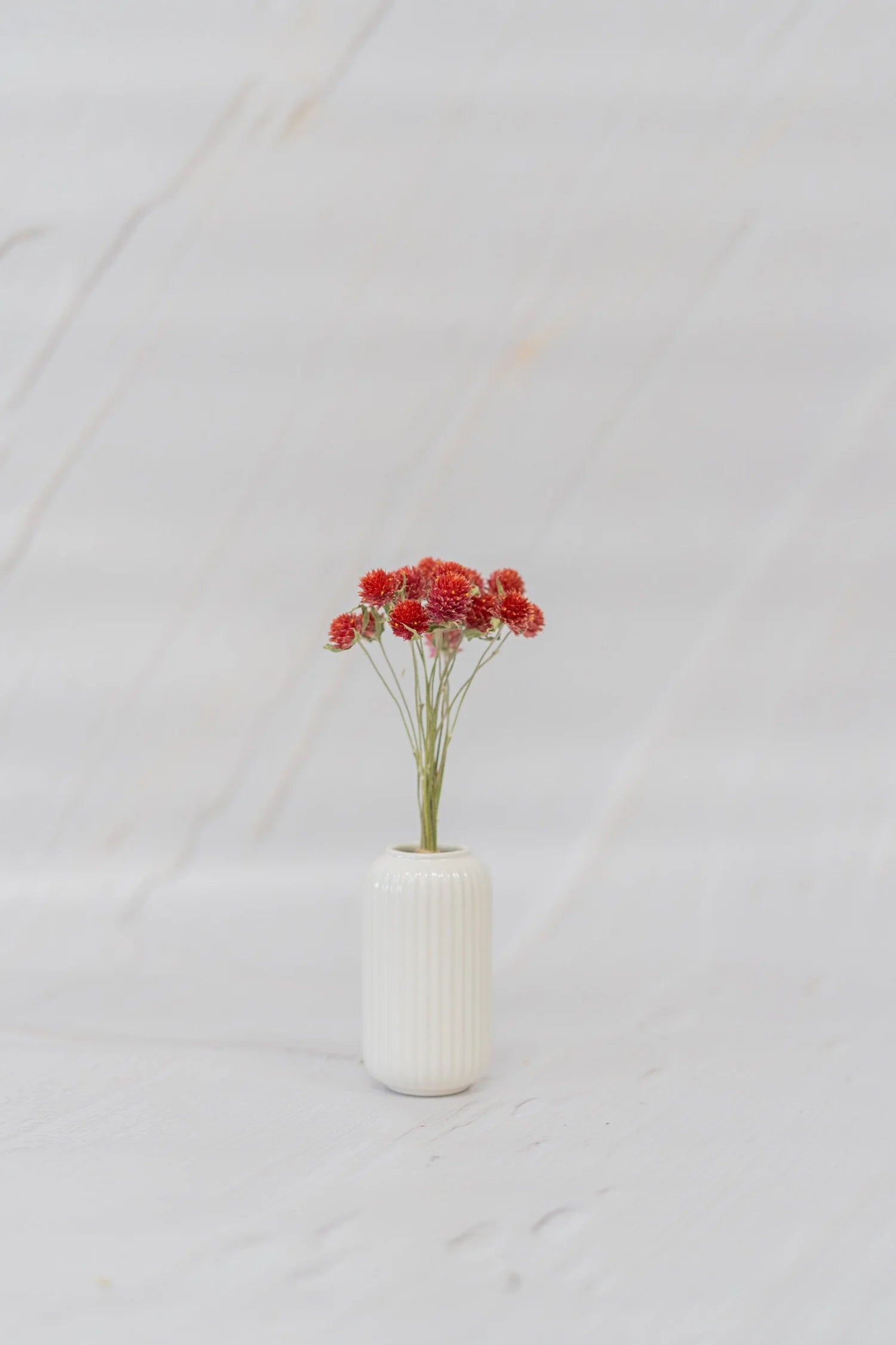 pinard floriculteur paysager grossiste en fleurs séchées mauricie centre du québec