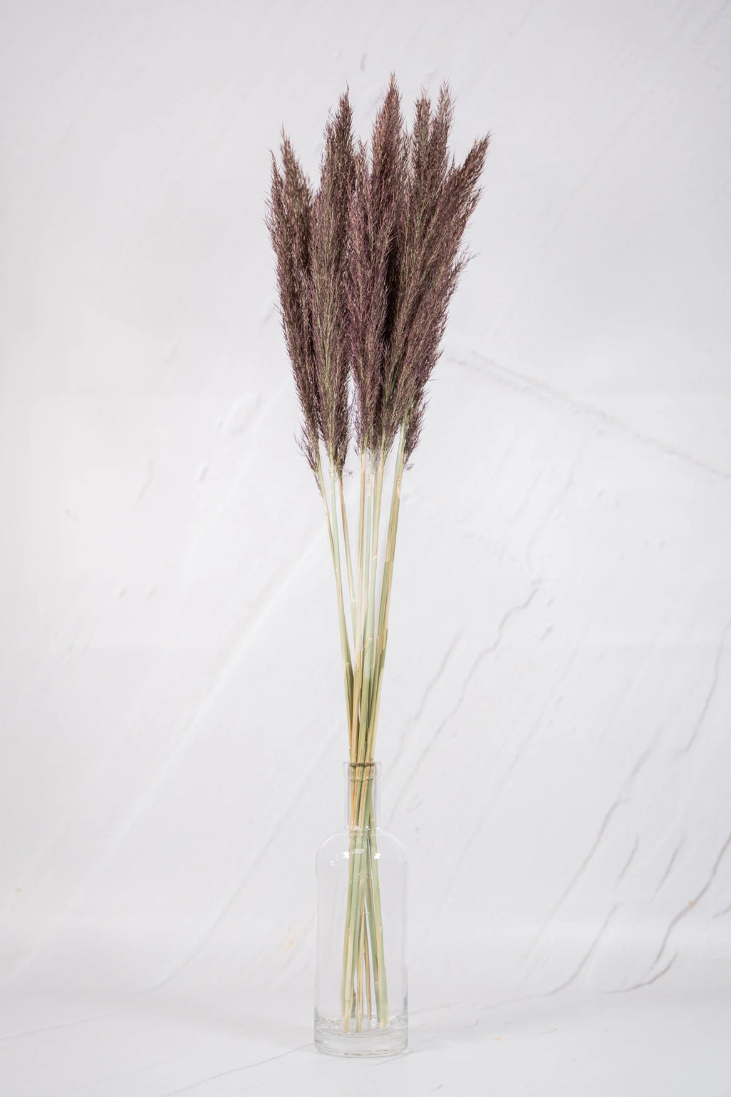 pinard floriculteur paysager grossiste en fleurs séchées mauricie centre du québec