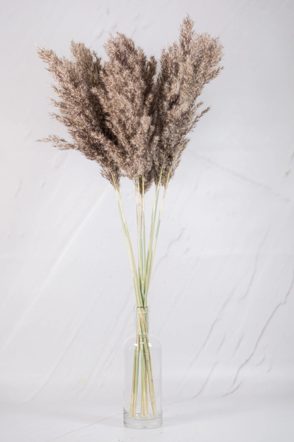 pinard floriculteur paysager grossiste en fleurs séchées mauricie centre du québec
