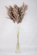 pinard floriculteur paysager grossiste en fleurs séchées mauricie centre du québec