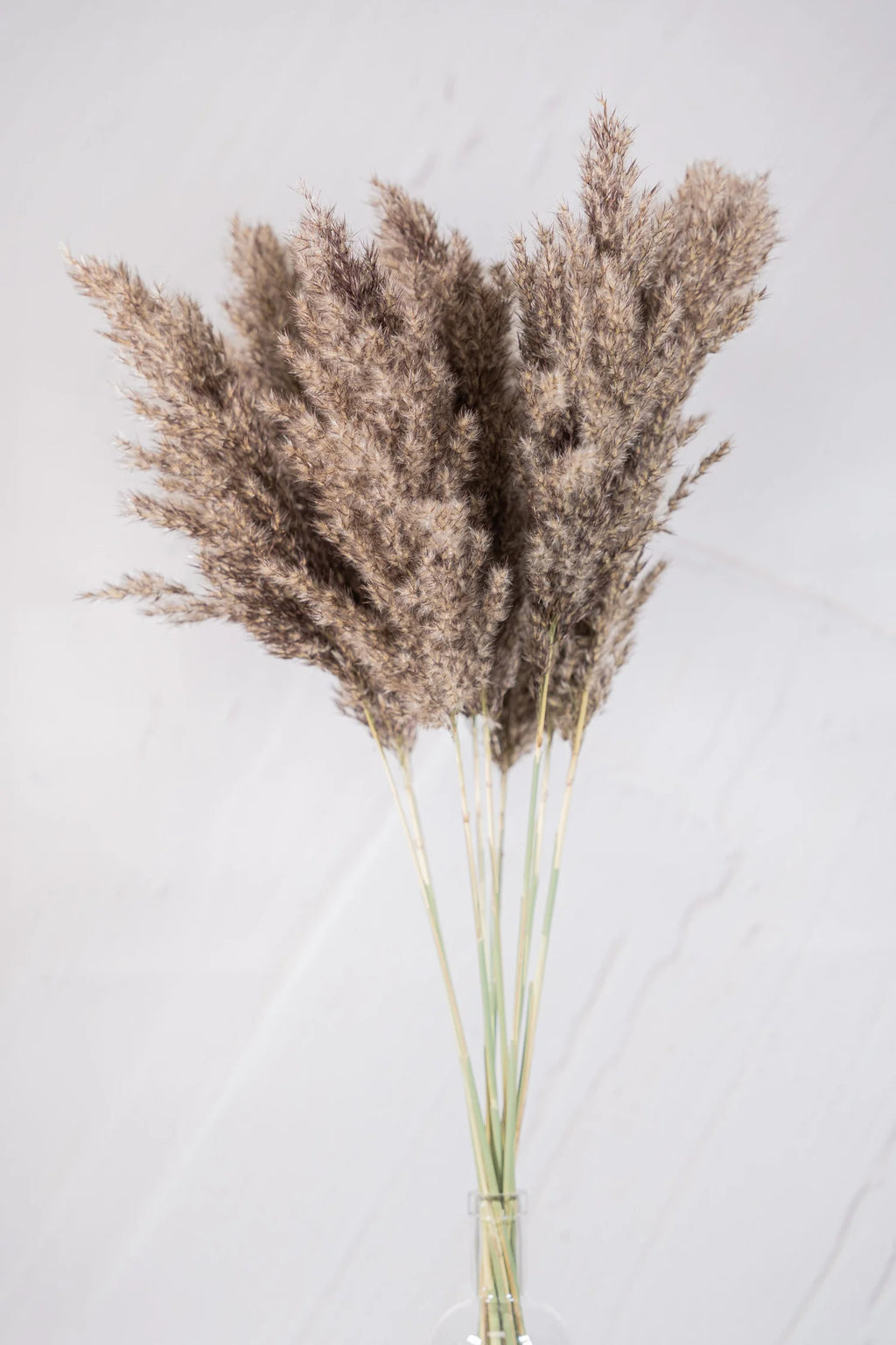 pinard floriculteur paysager grossiste en fleurs séchées mauricie centre du québec