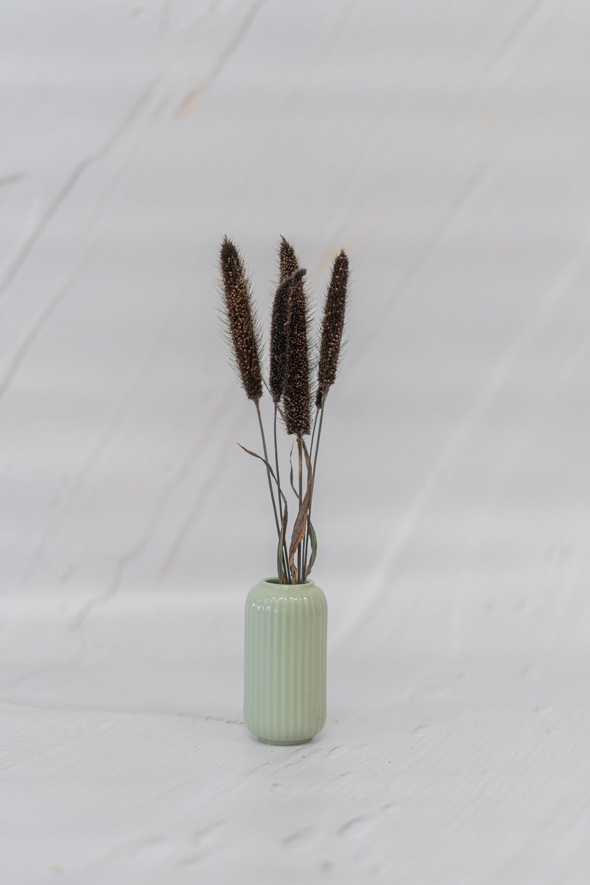 Millet Quenouille