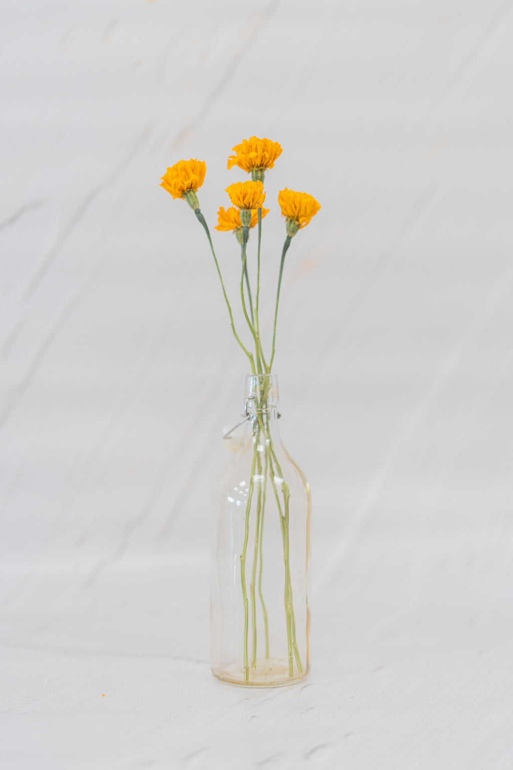 Marigold Orange