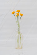 Marigold Orange
