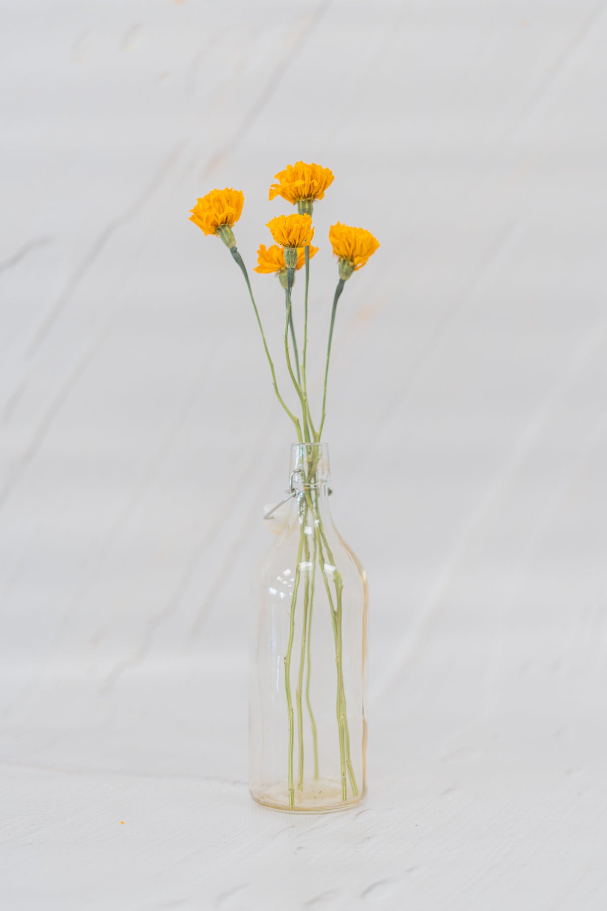 Marigold Orange