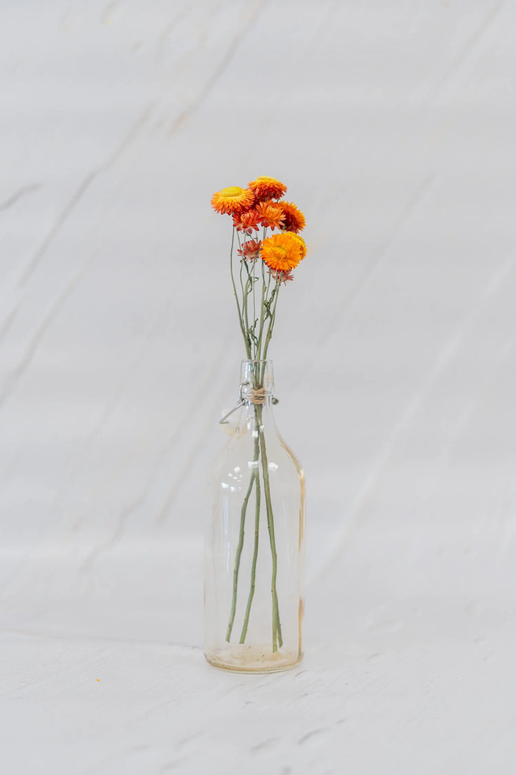pinard floriculteur paysager grossiste en fleurs séchées mauricie centre du québec