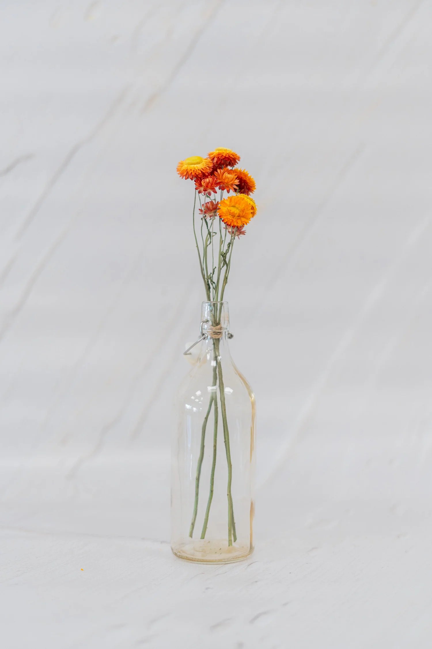 pinard floriculteur paysager grossiste en fleurs séchées mauricie centre du québec
