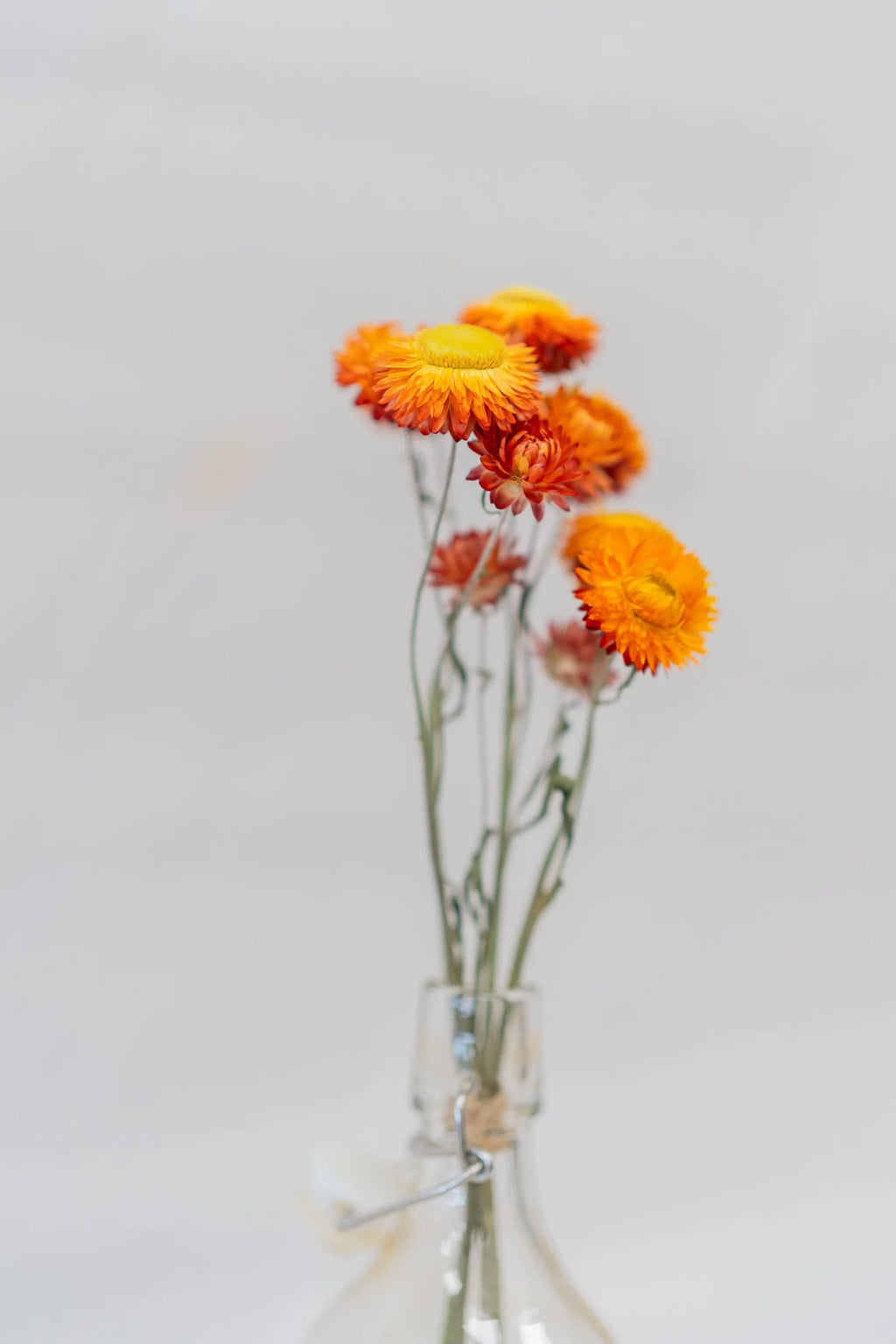 pinard floriculteur paysager grossiste en fleurs séchées mauricie centre du québec