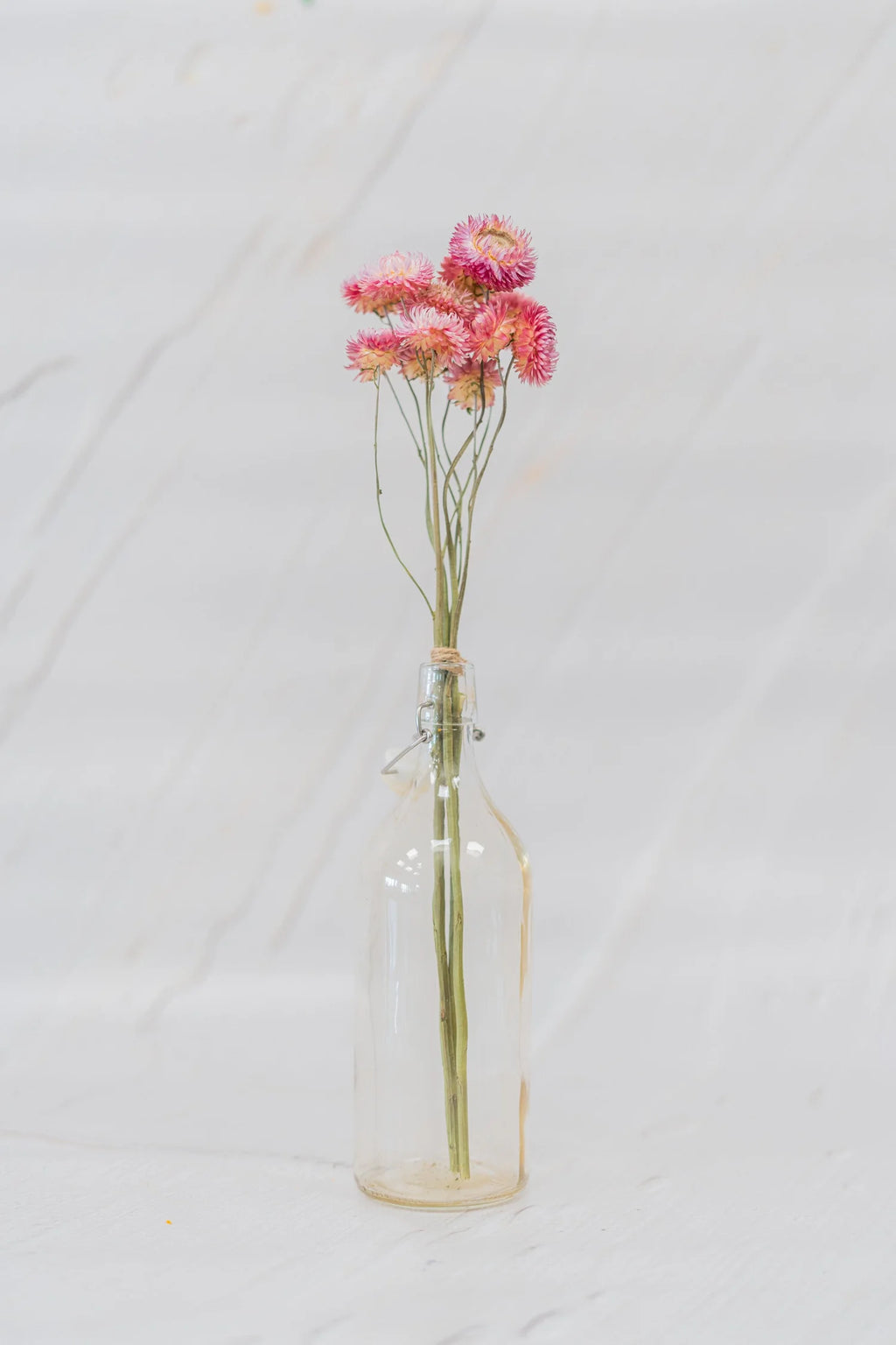 pinard floriculteur paysager grossiste en fleurs séchées mauricie centre du québec
