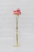 pinard floriculteur paysager grossiste en fleurs séchées mauricie centre du québec