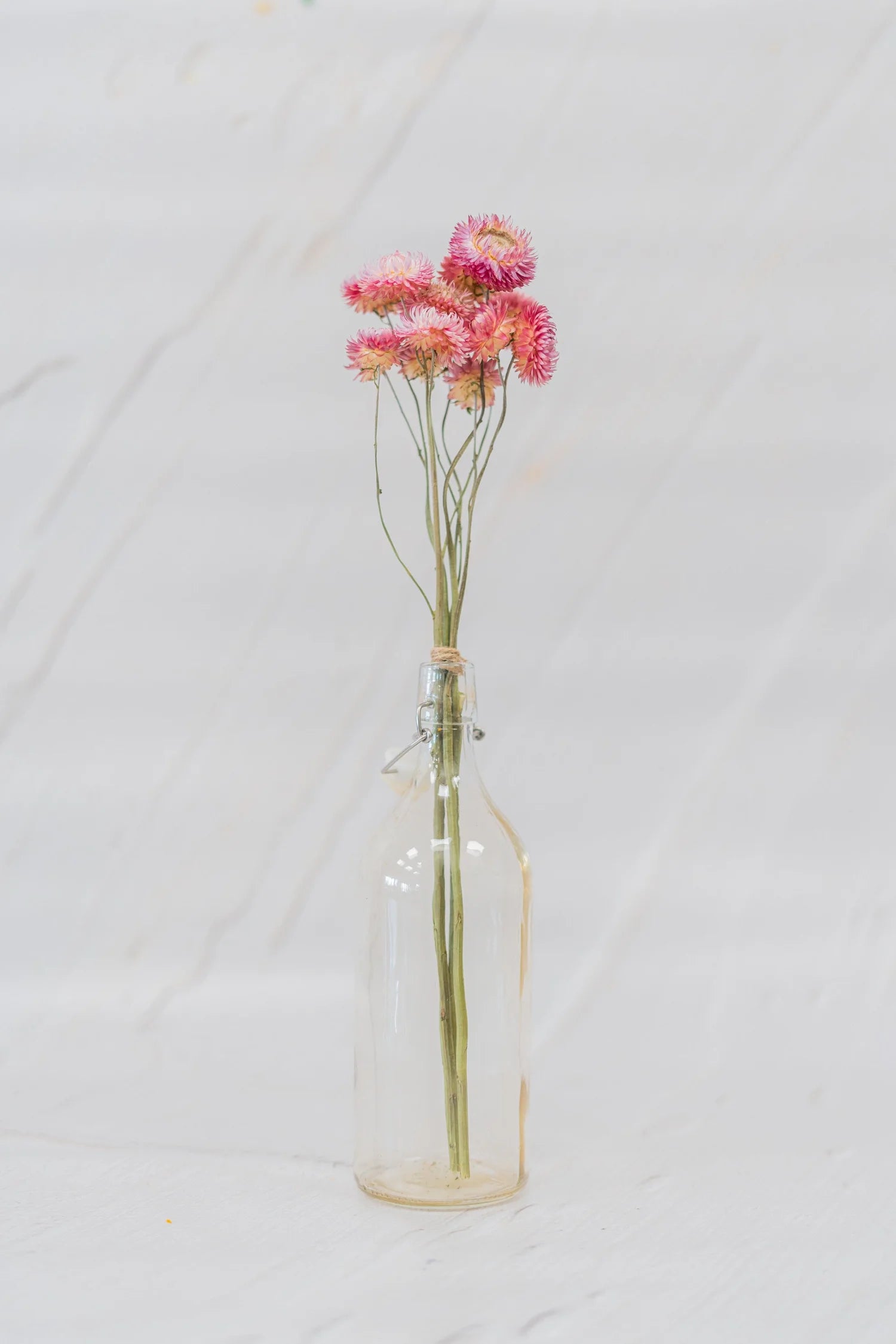 pinard floriculteur paysager grossiste en fleurs séchées mauricie centre du québec