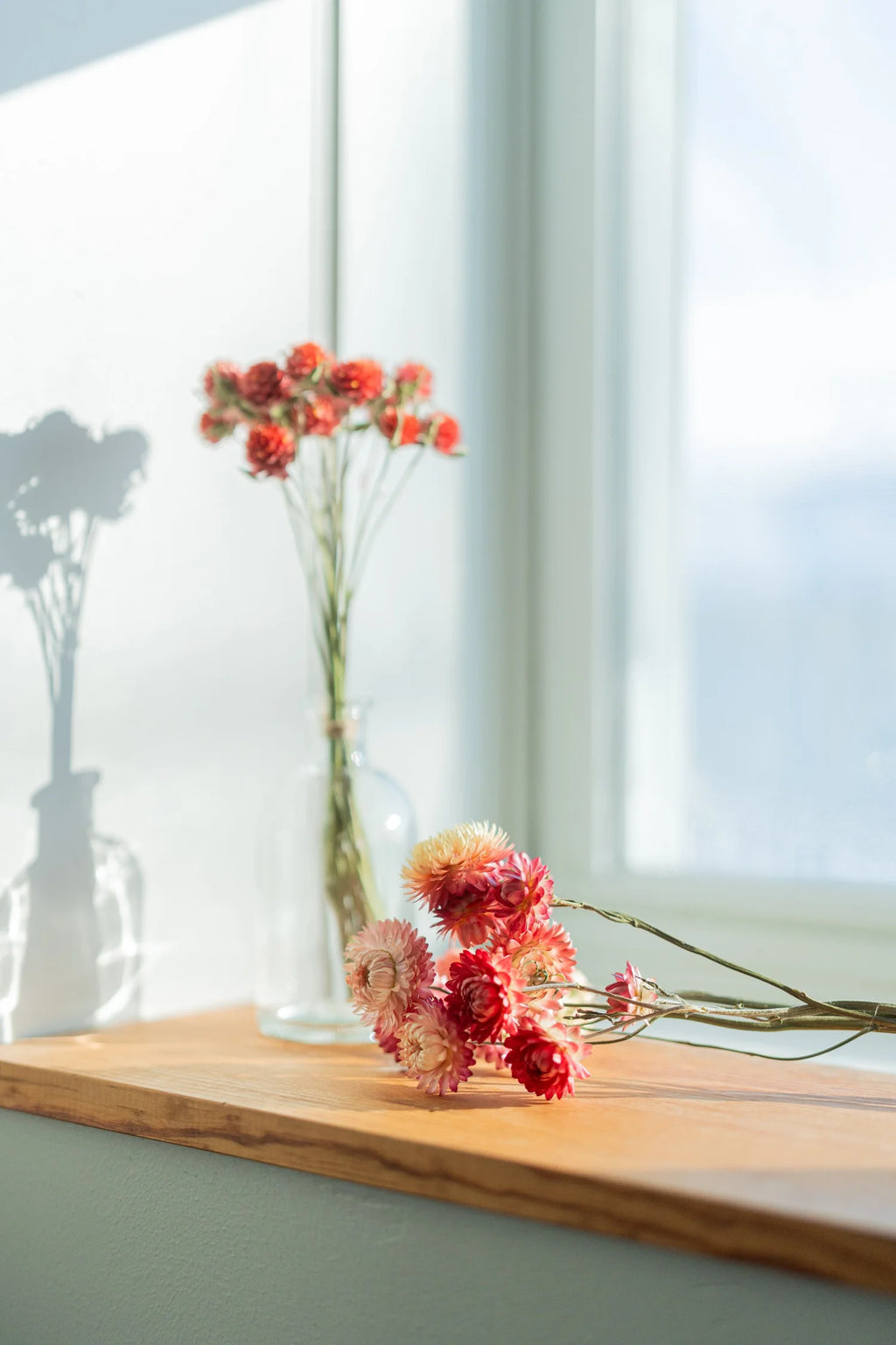 pinard floriculteur paysager grossiste en fleurs séchées mauricie centre du québec
