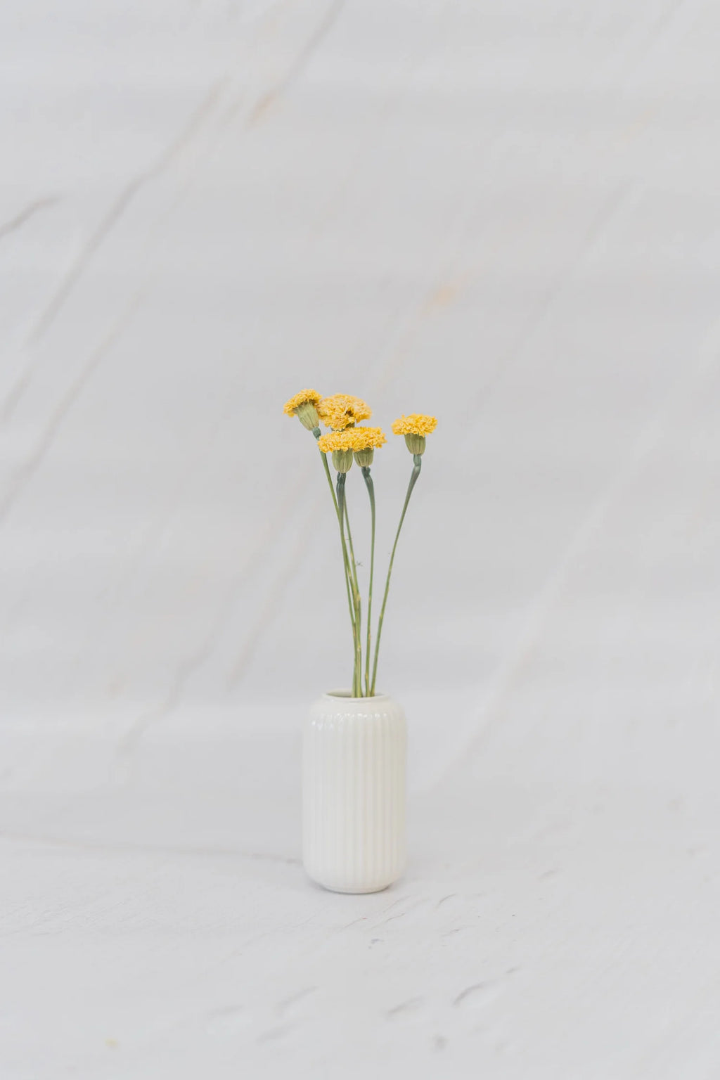 pinard floriculteur paysager grossiste en fleurs séchées mauricie centre du québec