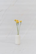 pinard floriculteur paysager grossiste en fleurs séchées mauricie centre du québec
